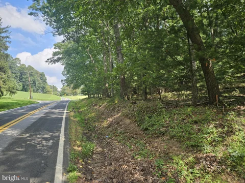 MLS: MDCR2037452