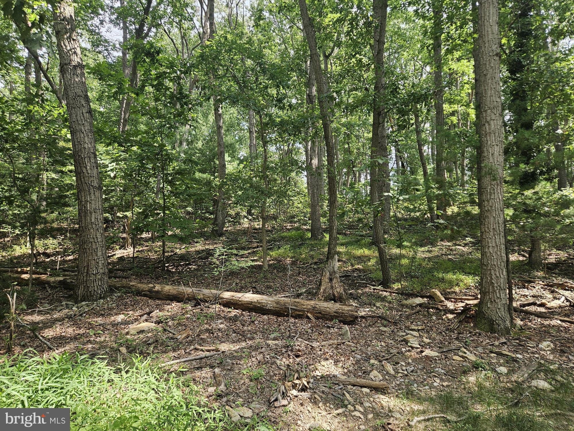 NICODEMUS ROAD