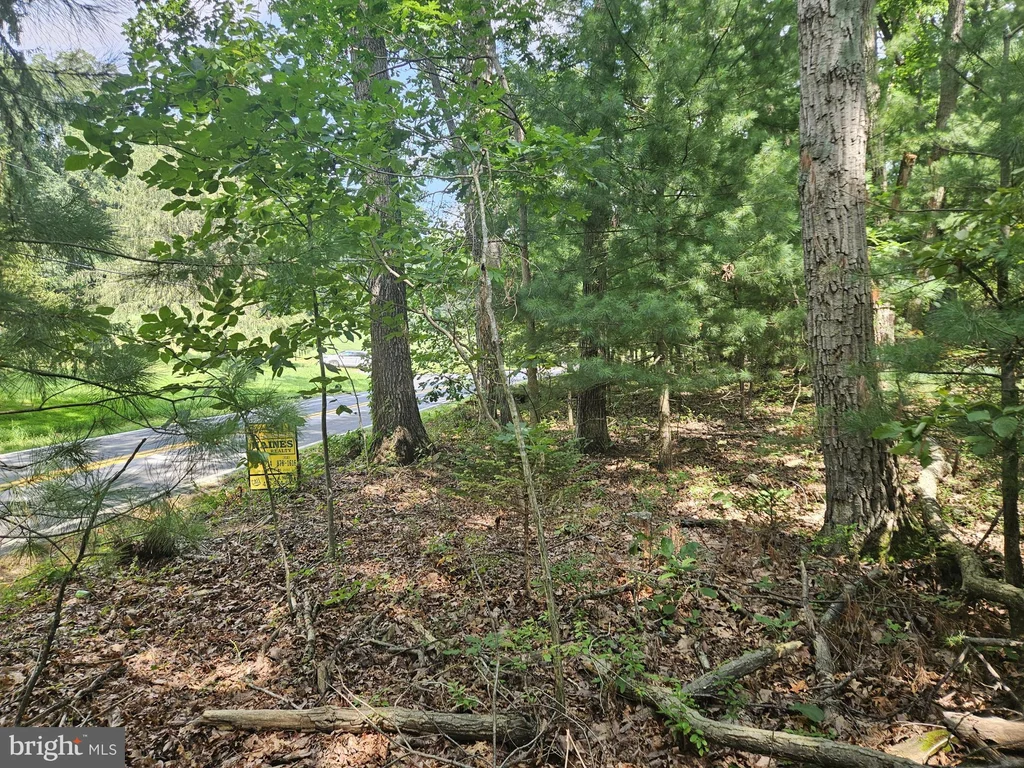 Nicodemus Road, Westminster, MD 21157