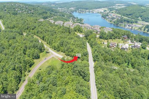 Vacant Land For Sale - LOT 100 Snowhaven Lane<br/> MC HENRY, MD 21541
