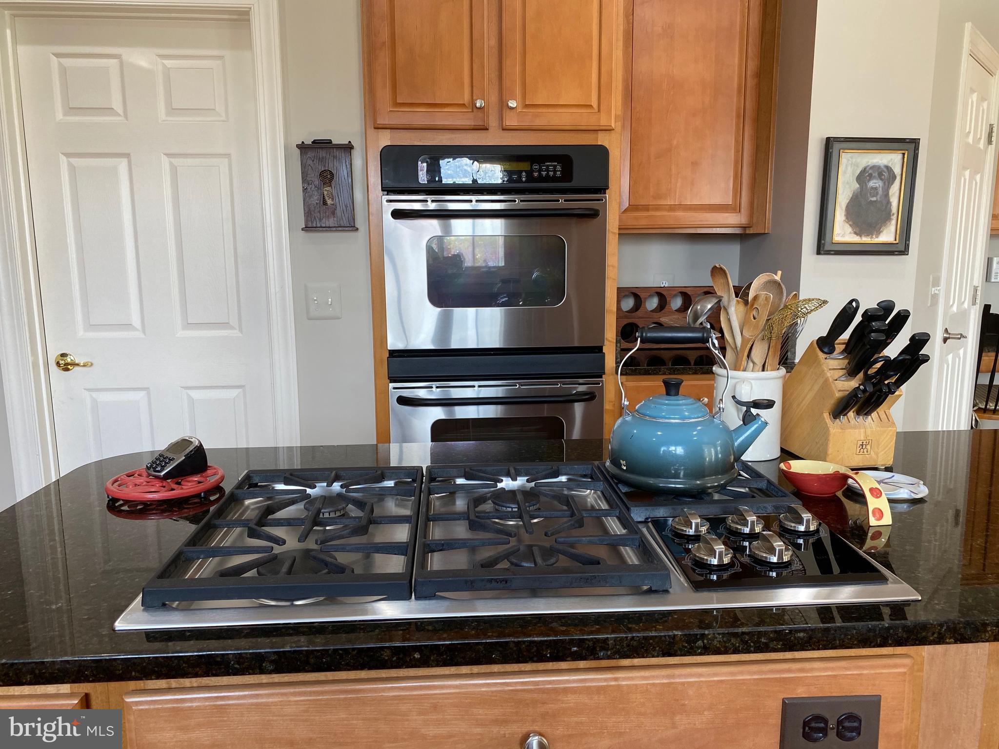 CHESTNUT HILLS - Residential