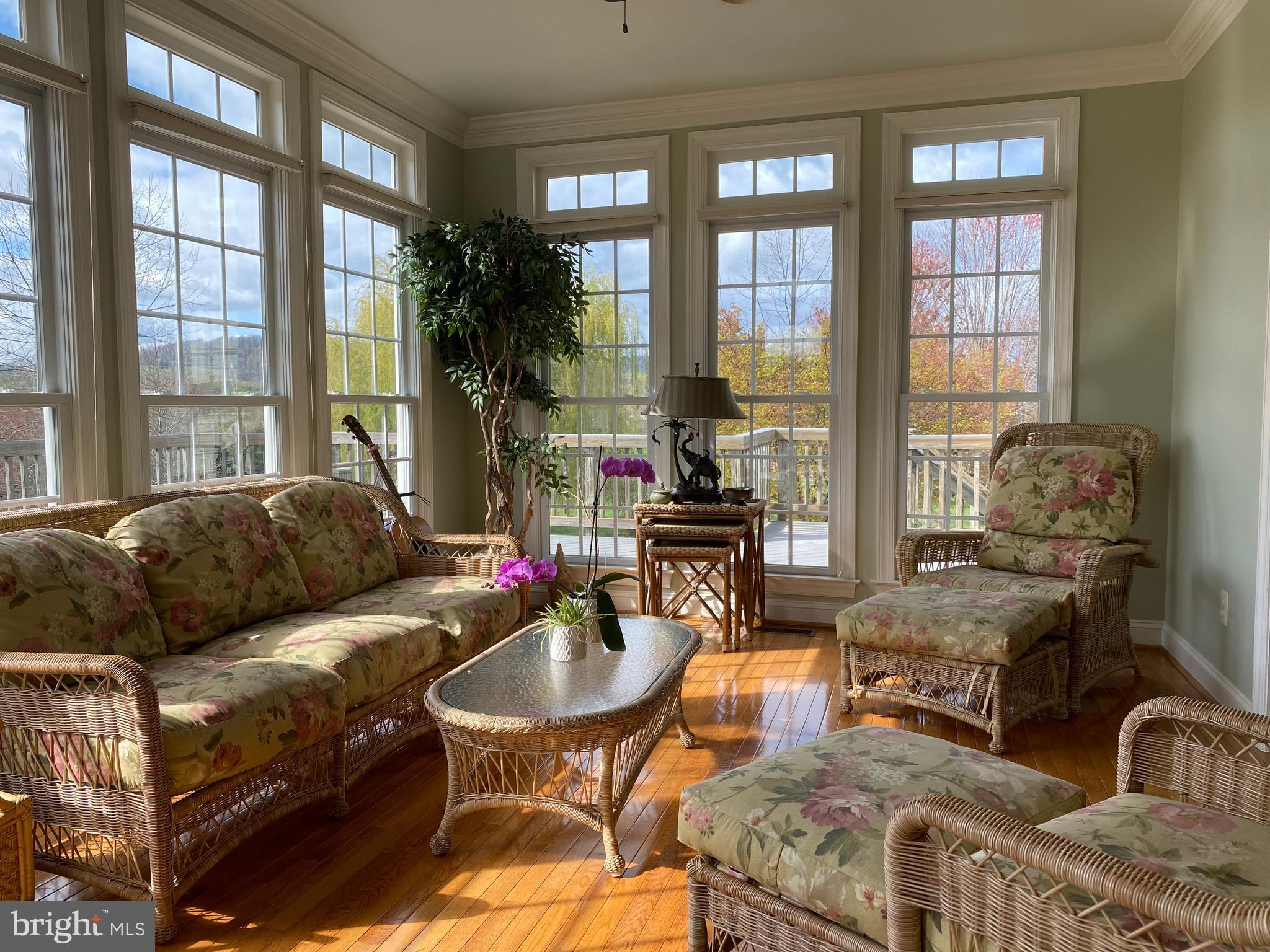 CHESTNUT HILLS - Residential