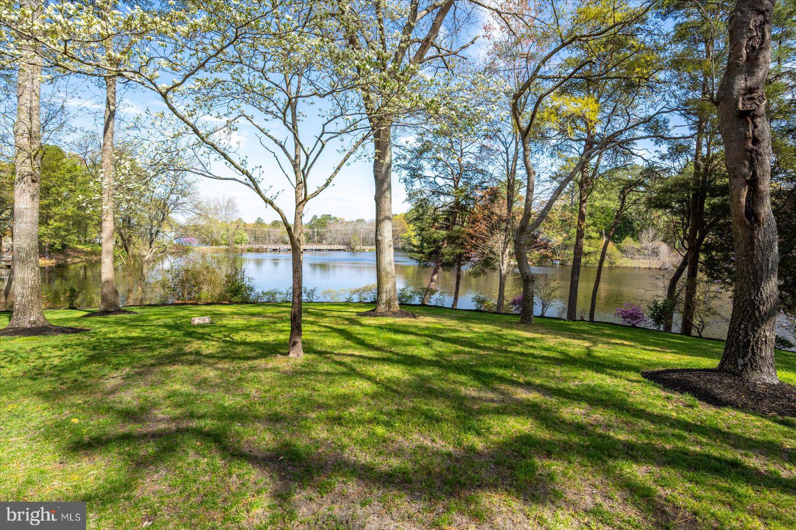 TONY TANK - Residential