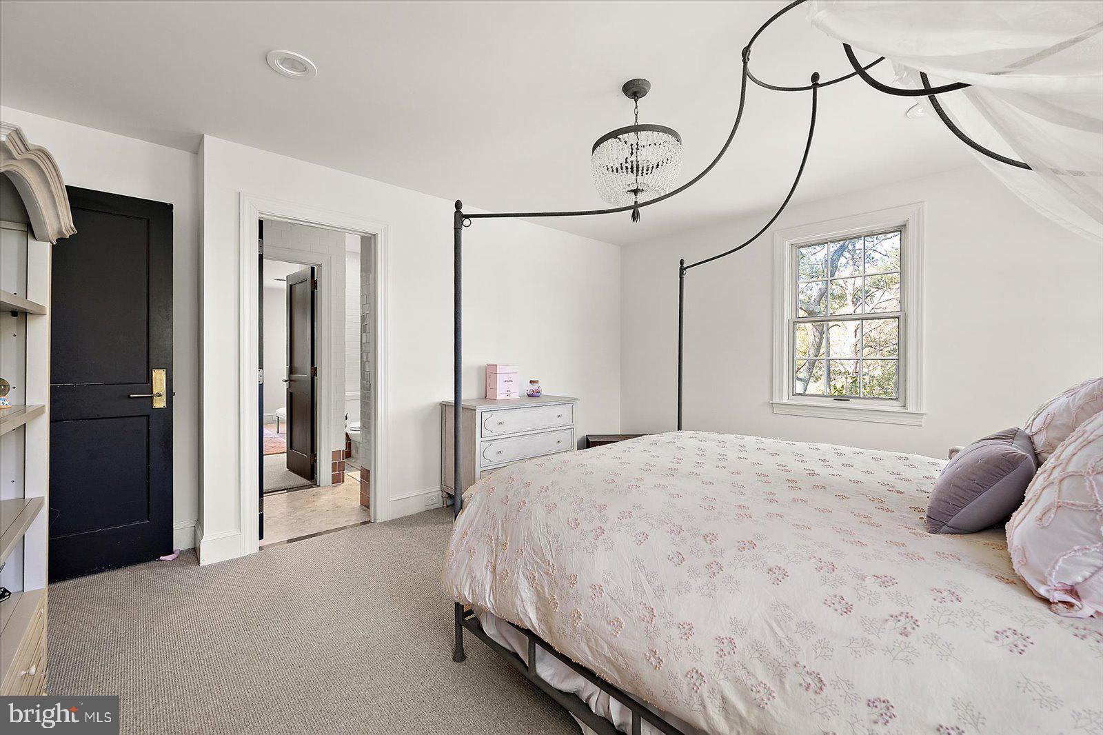 TONY TANK - Residential