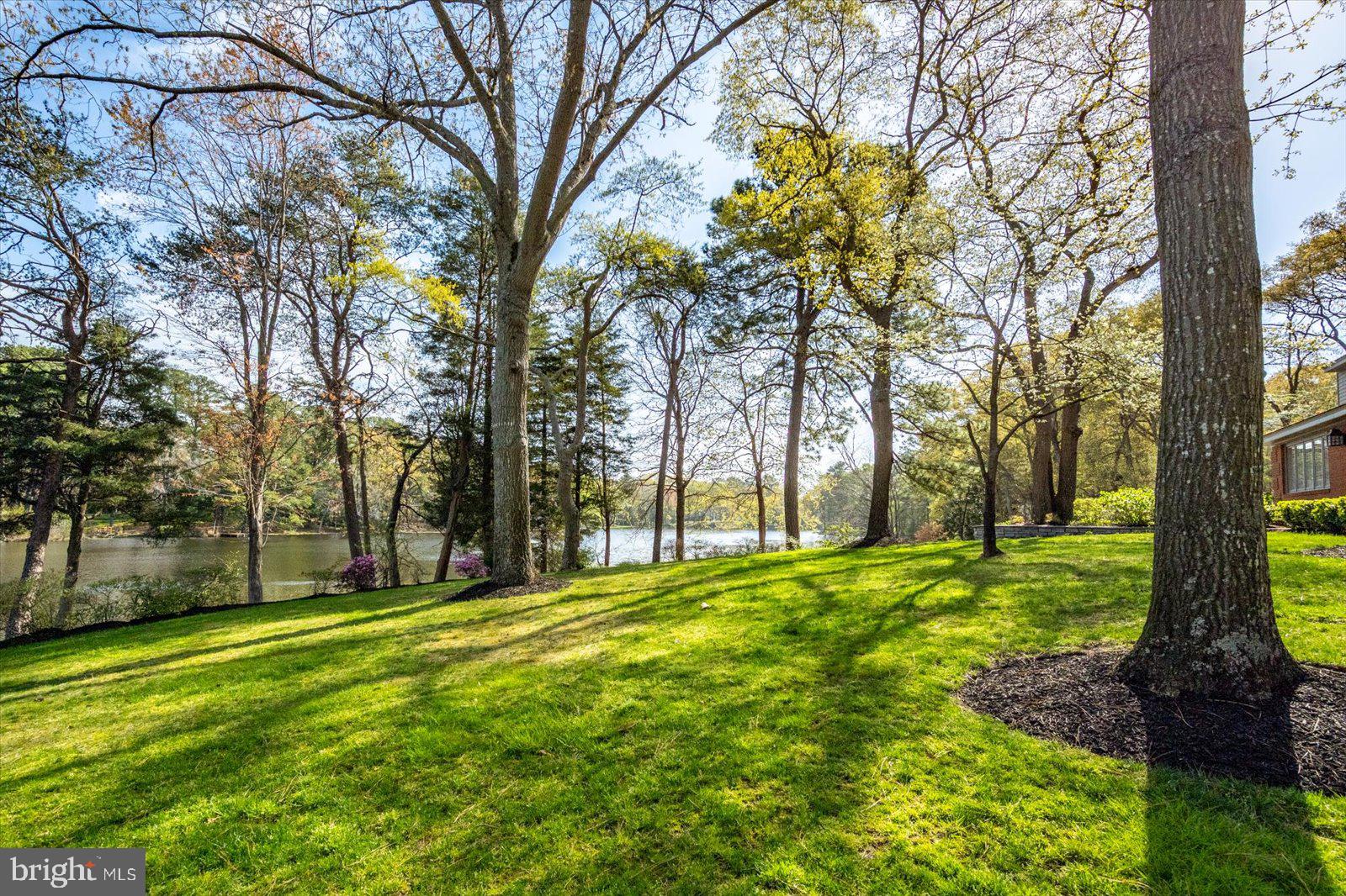 TONY TANK - Residential