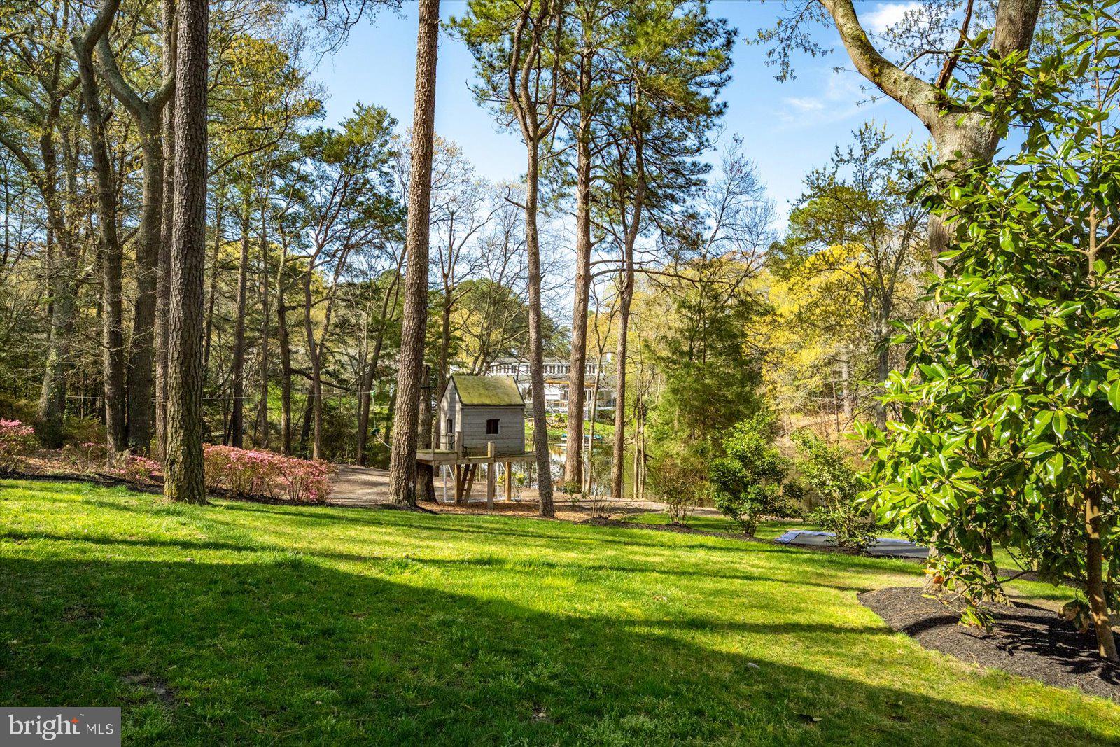 TONY TANK - Residential