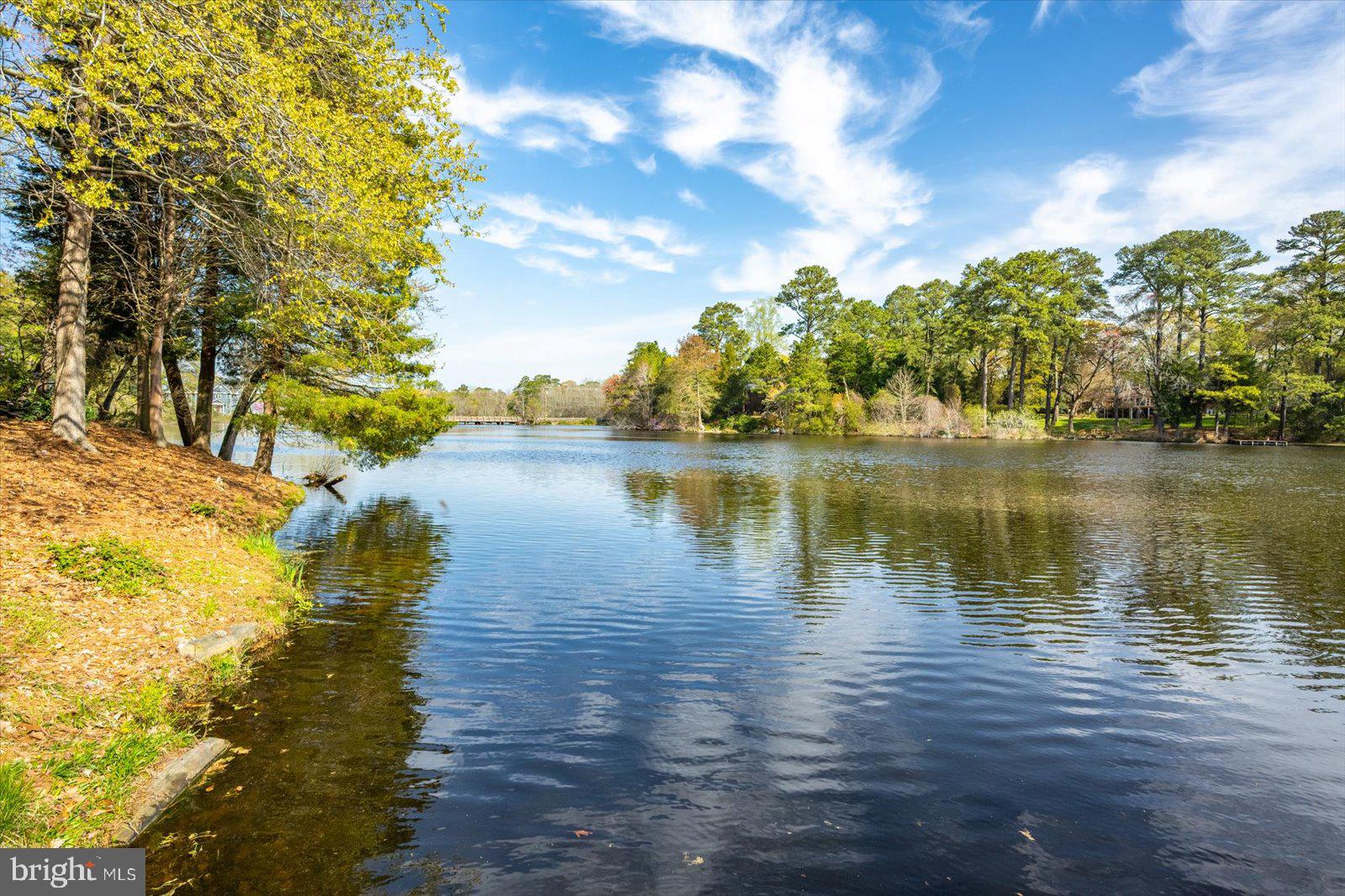TONY TANK - Residential