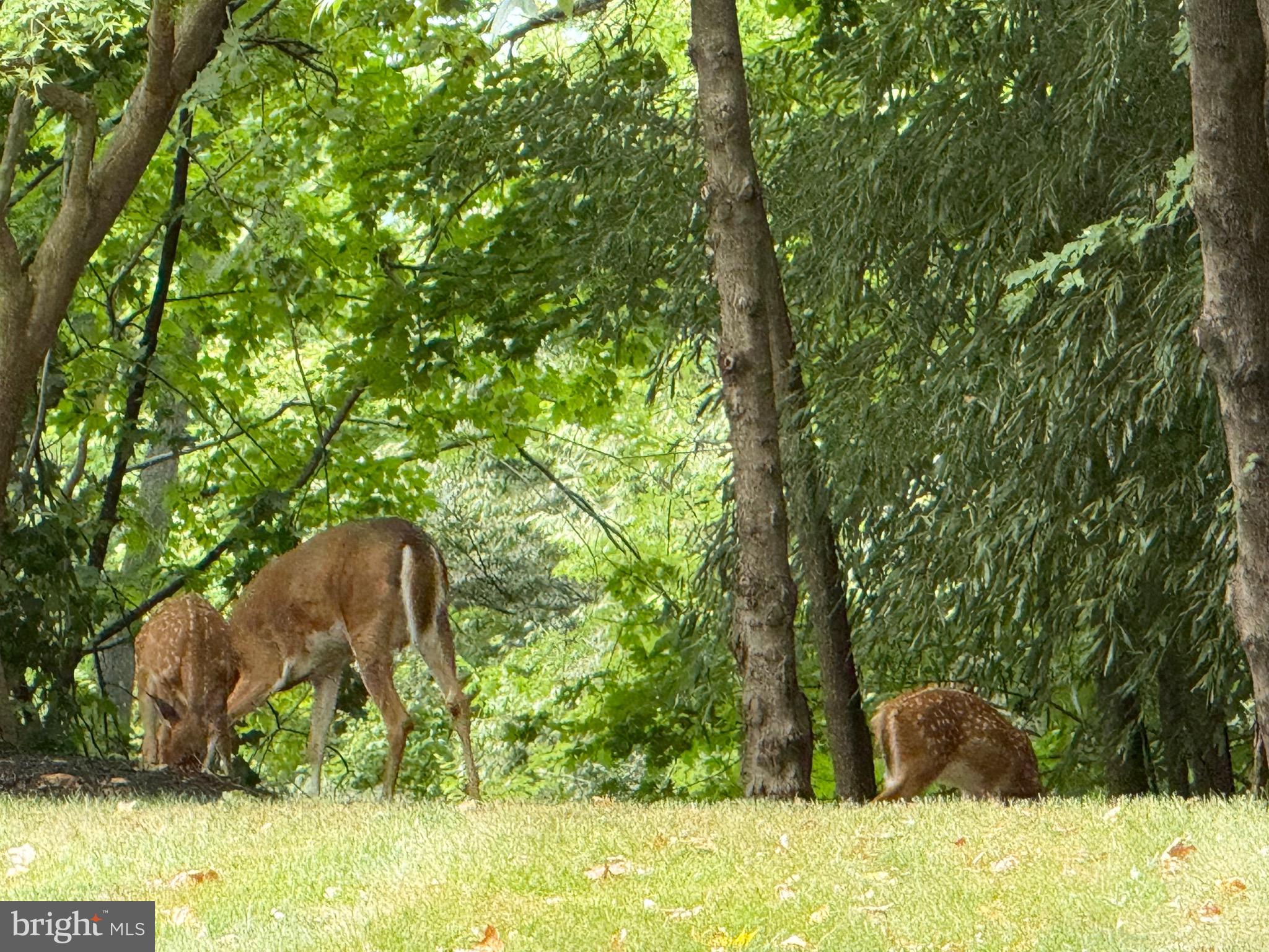 CLUB AT MCDONOGH - Residential