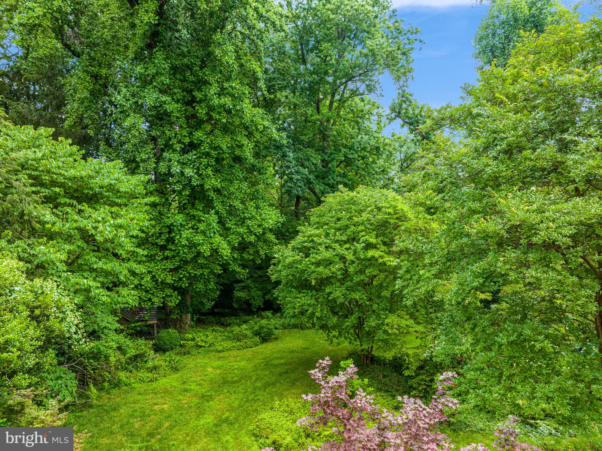 LANGLEY FARMS - Residential