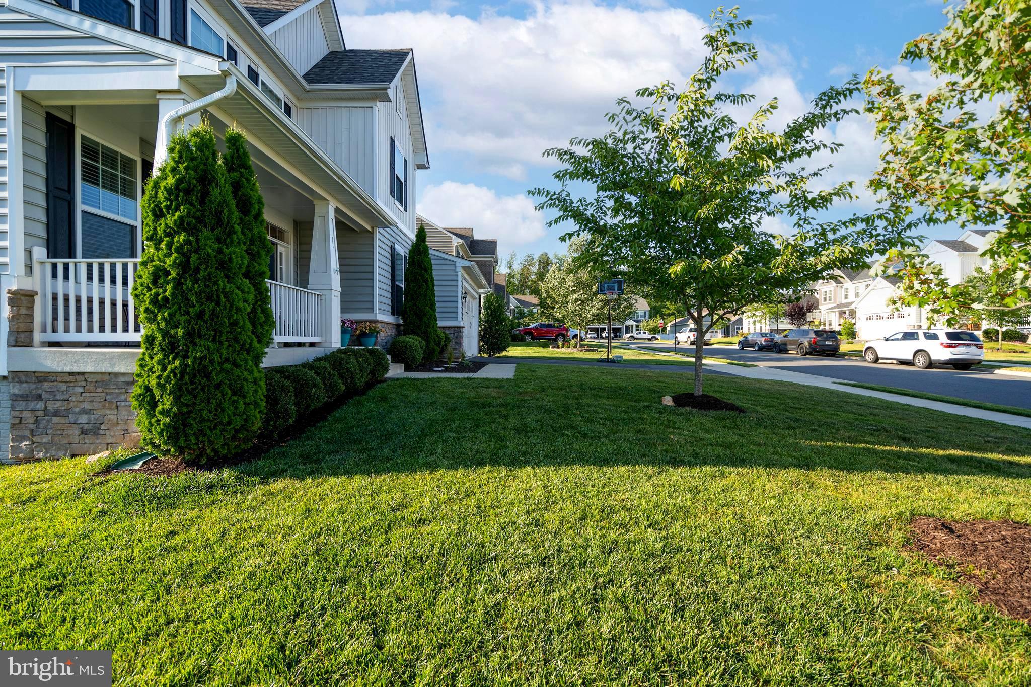 SHELTON WOODS - Residential