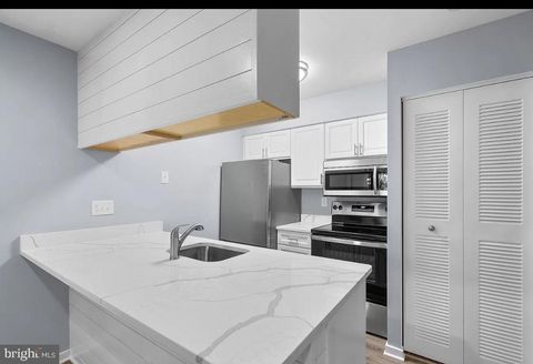 10132 HELLINGLY PLACE 288 MONTGOMERY VILLAGE MD 20886