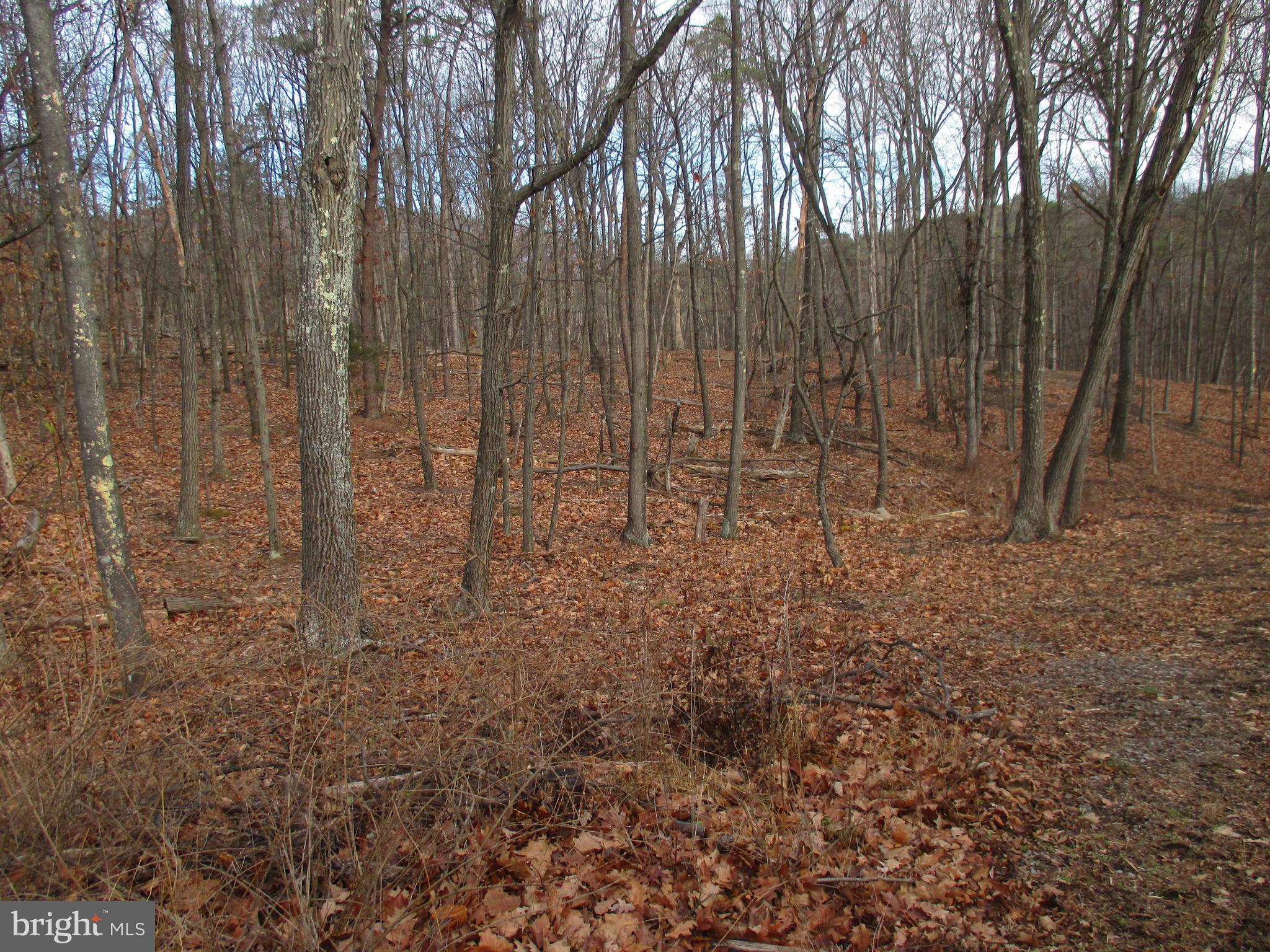 101 HOWDYSHELL HILL ROAD