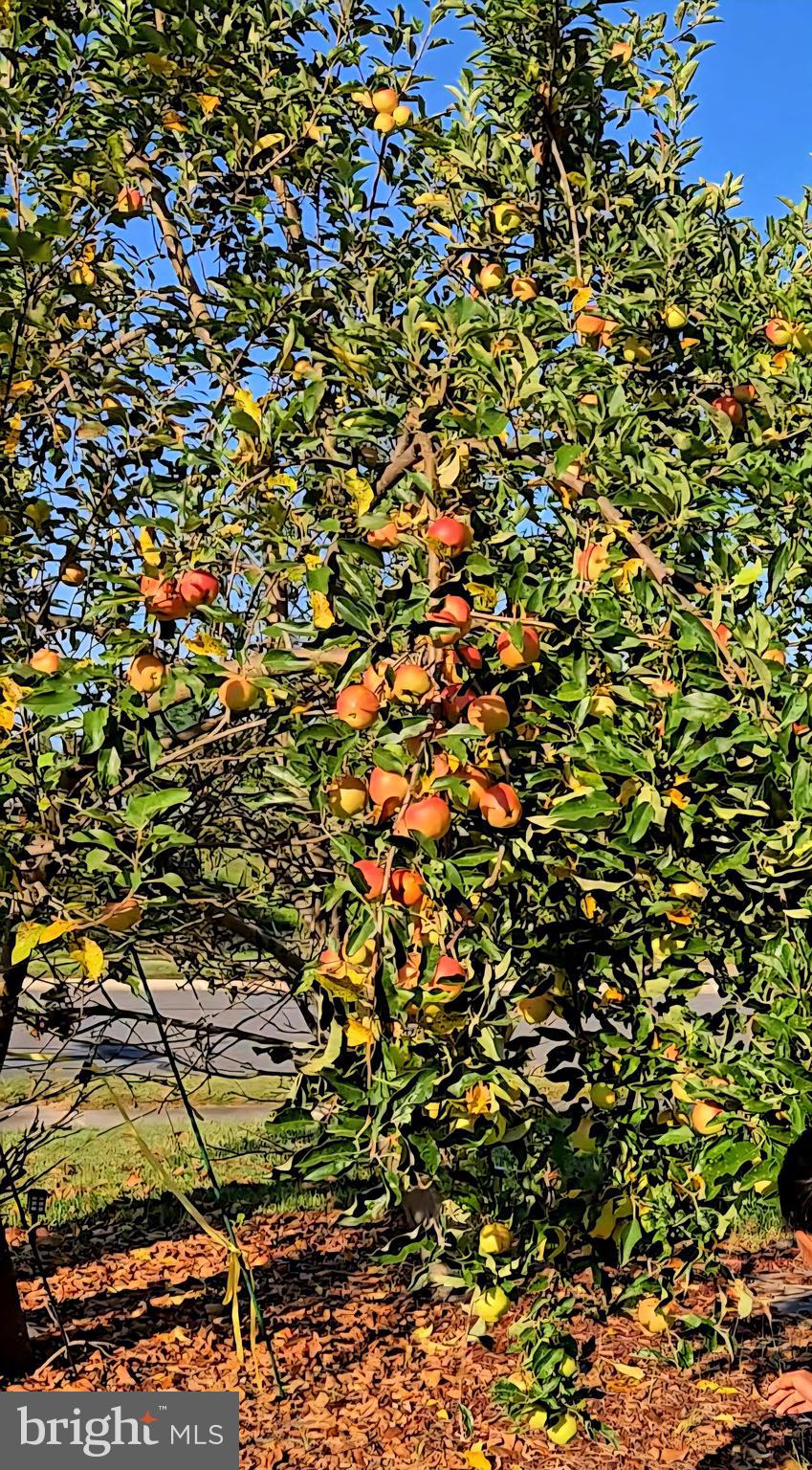 BRAMBLETON - Residential