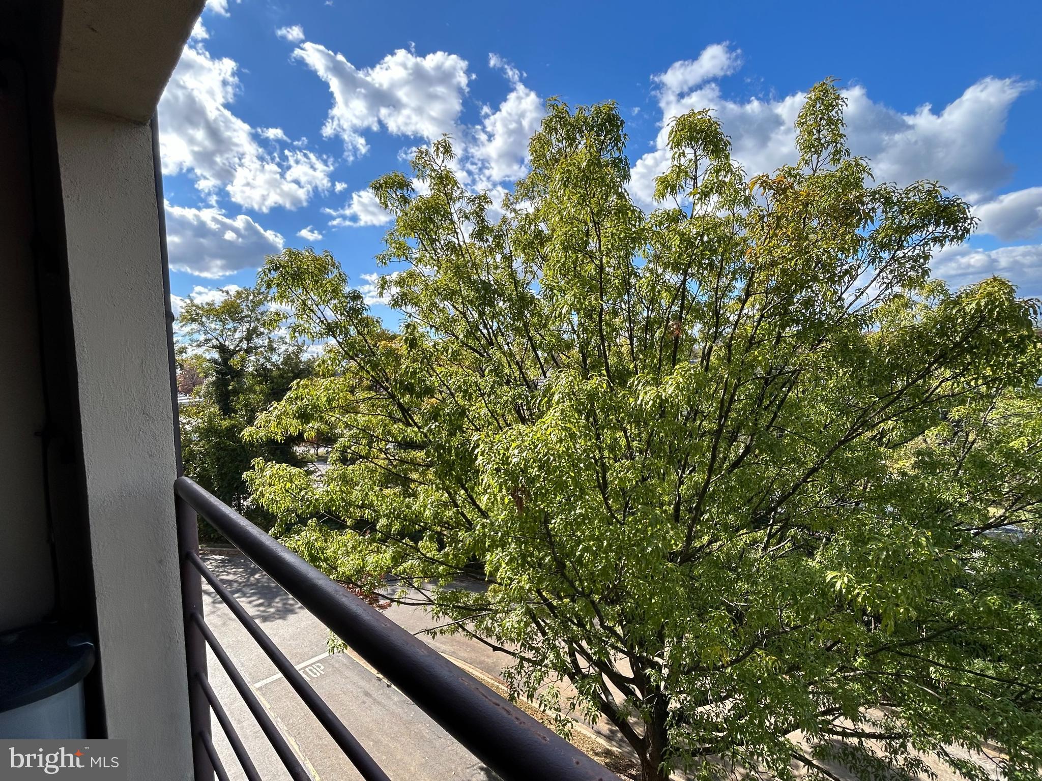 ROLAND PARK - Residential