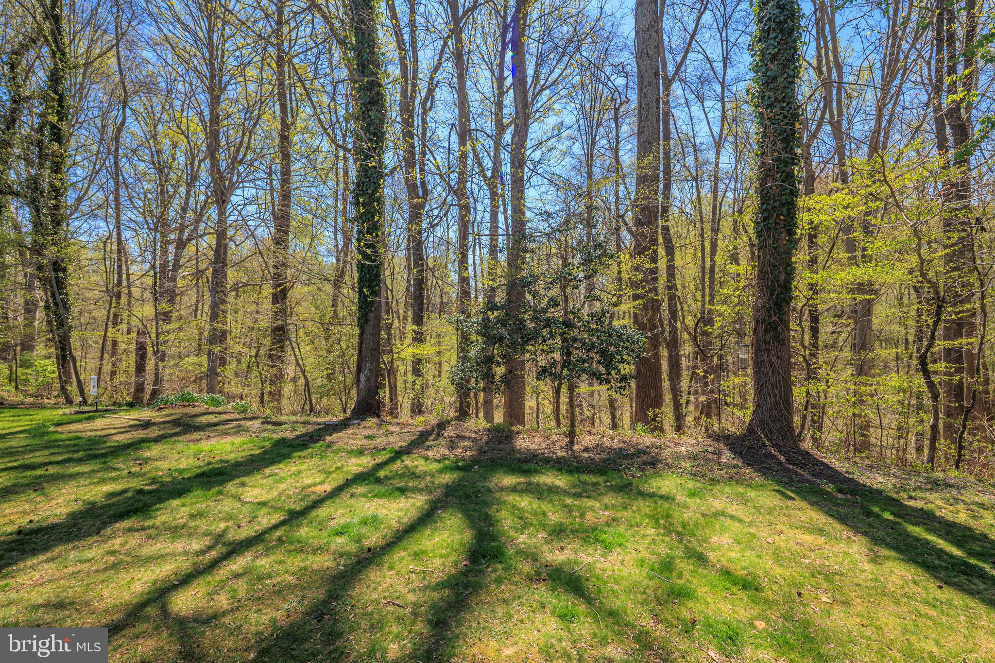 CHESAPEAKE LIGHTHOUSE - Residential