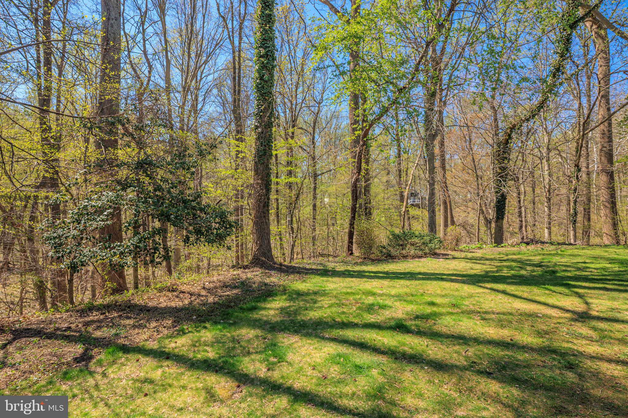 CHESAPEAKE LIGHTHOUSE - Residential