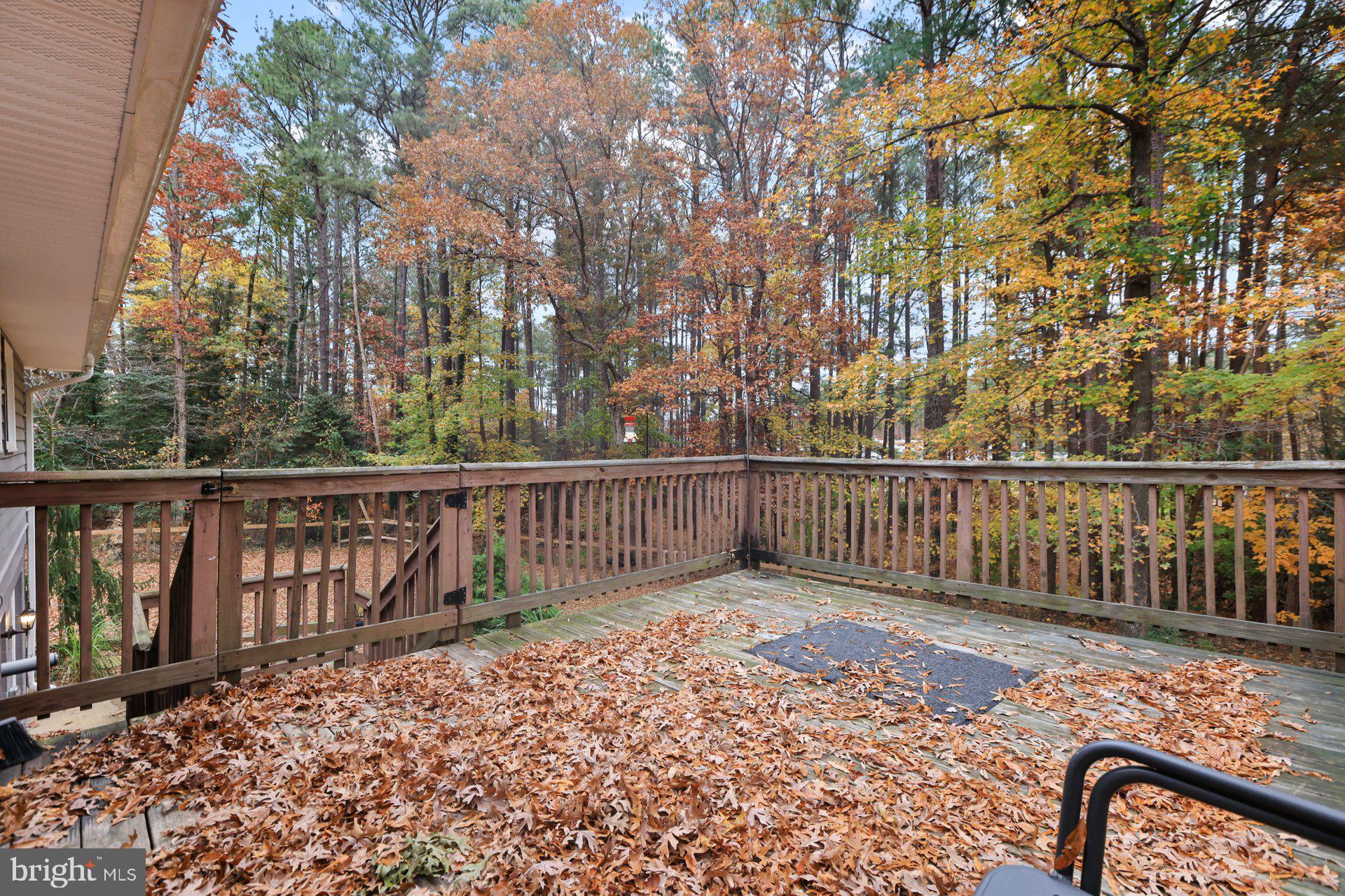 ESSEX SOUTH - Residential