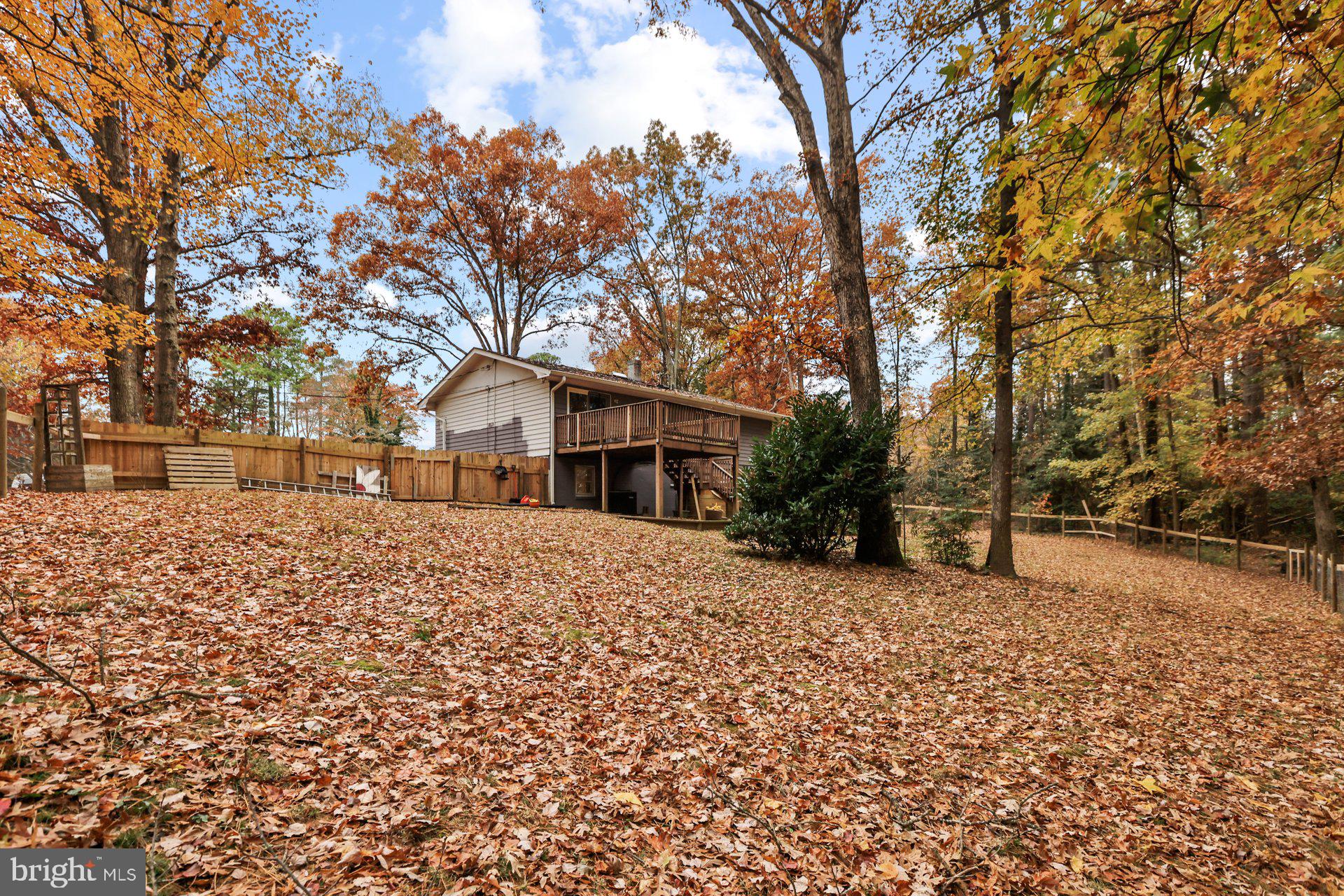 ESSEX SOUTH - Residential