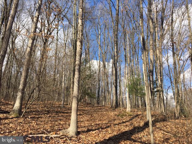 Beautiful 4.84 wooded acres along Sand Ridge Road. Surrounded by farms and quaint towns. Perfect place to build your dream house, with country living flare. Close to I-80.
