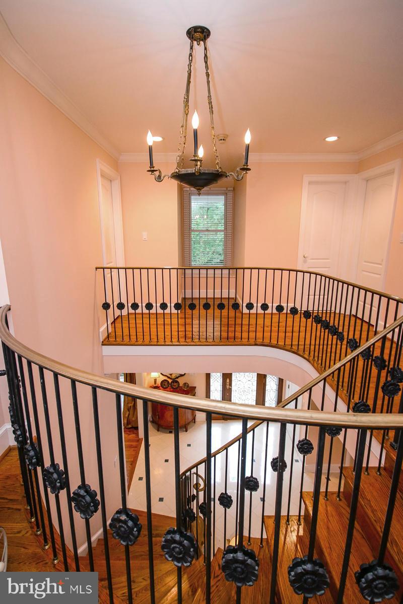 BELLEVUE FOREST - Residential