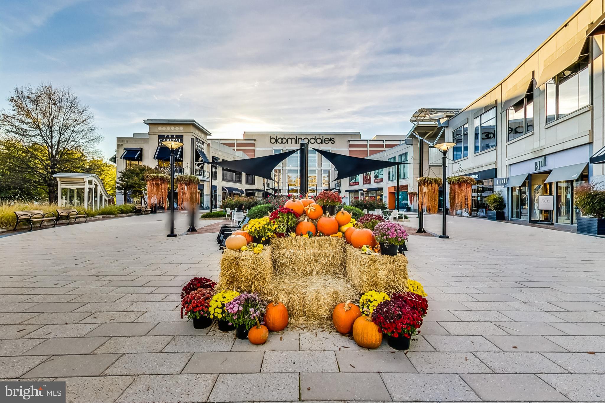 WILLOUGHBY OF CHEVY CHASE - Residential