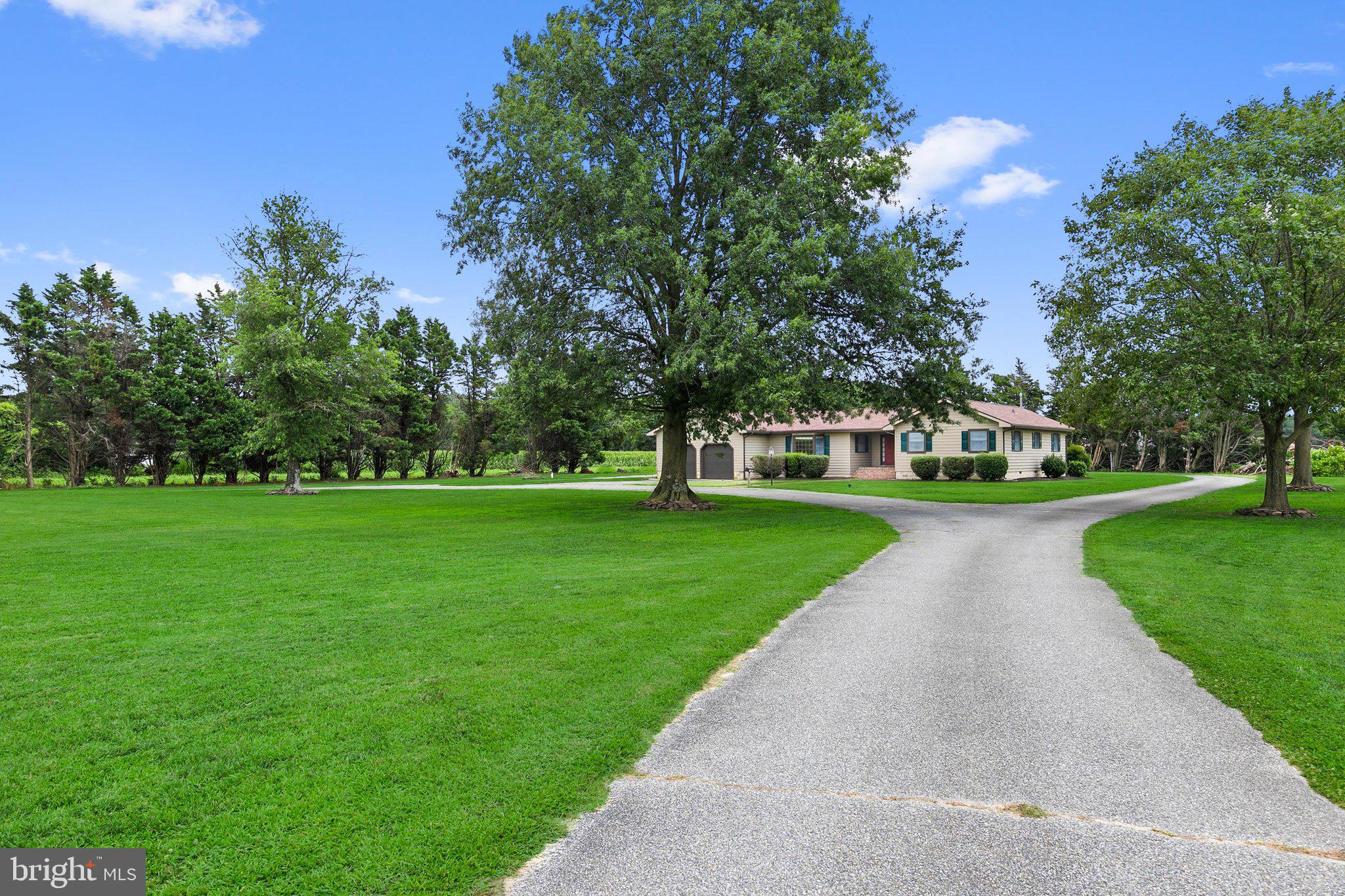 30861 IRON BRANCH ROAD