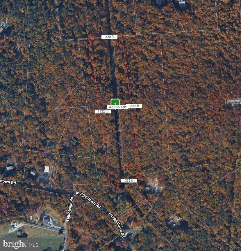 1050 MORGANTOWN ROAD
