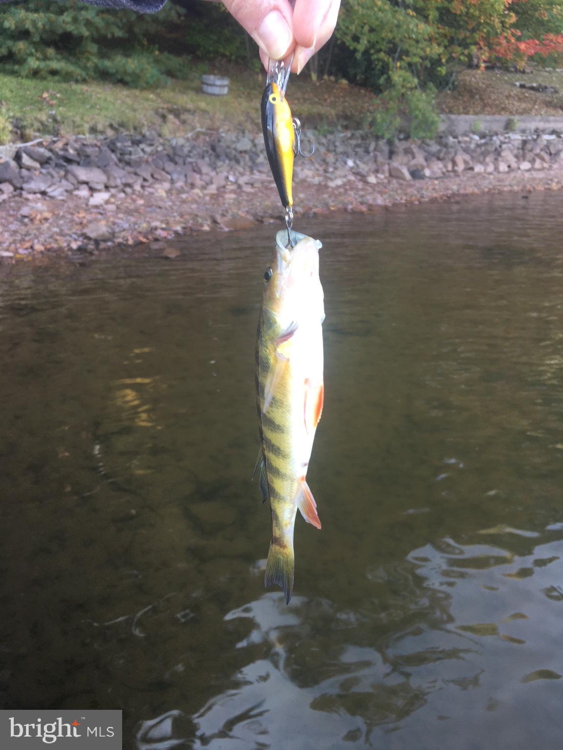 HARVEY'S PENINSULA - Residential