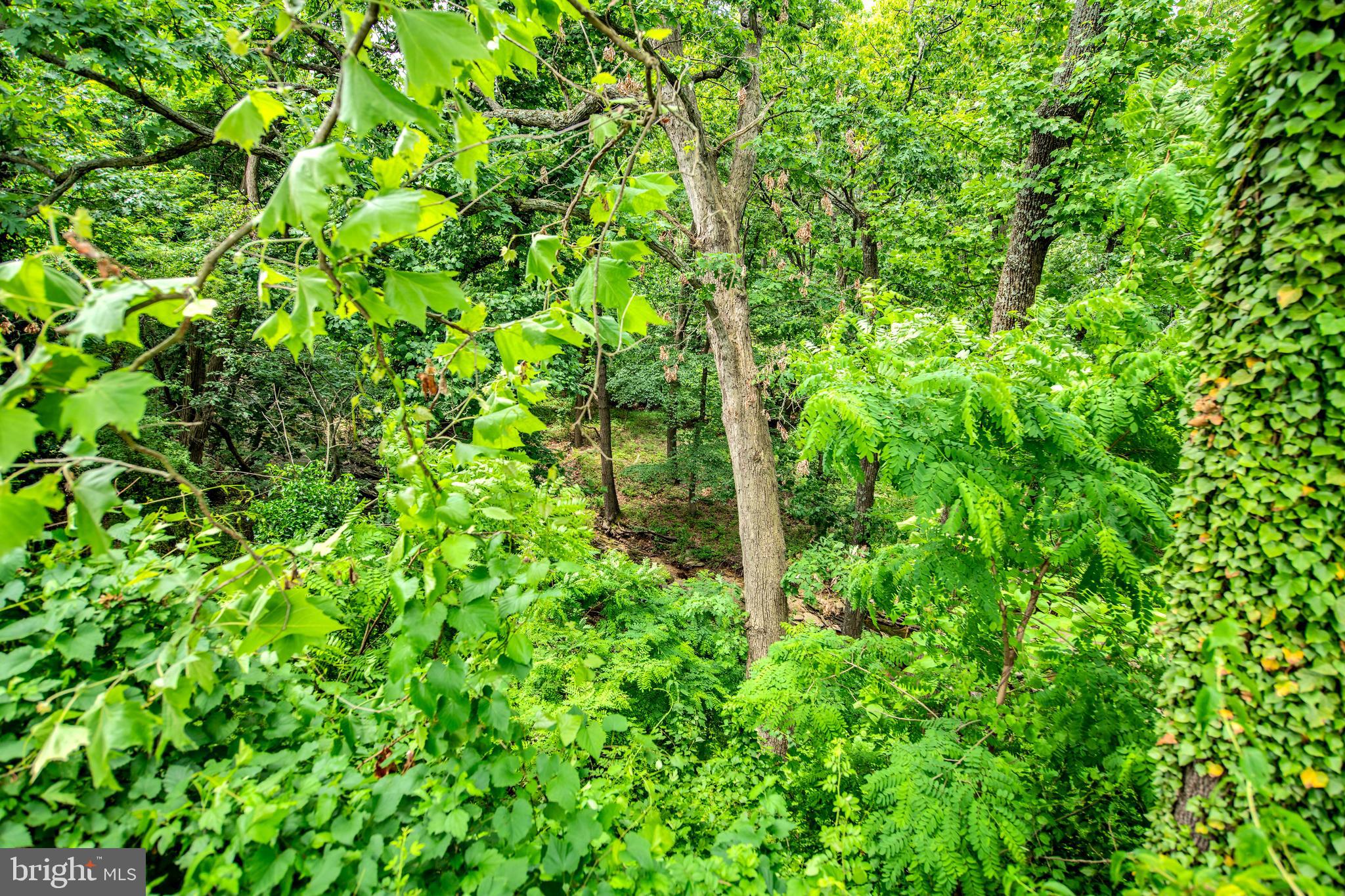 GLENSIDE PARK - Residential