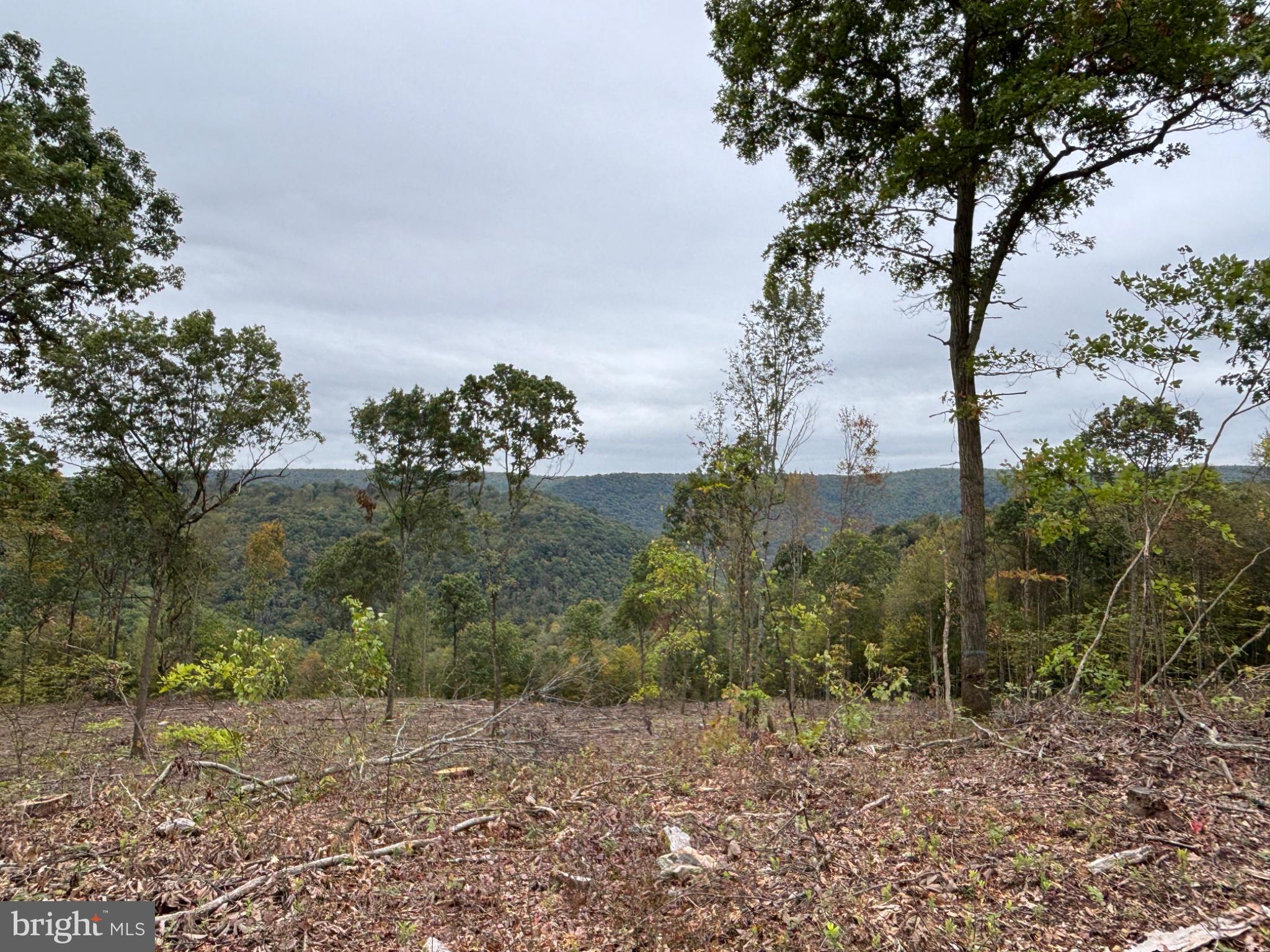 15 BEECH CREEK MOUNTAIN ROAD