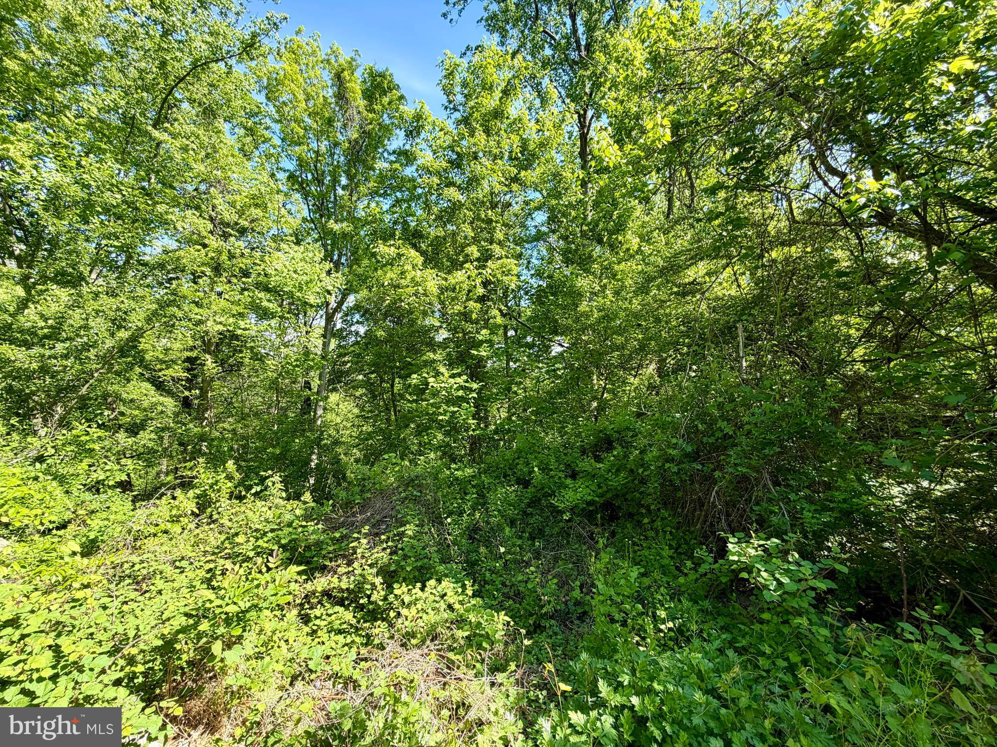 LINTHICUM HEIGHTS - Land