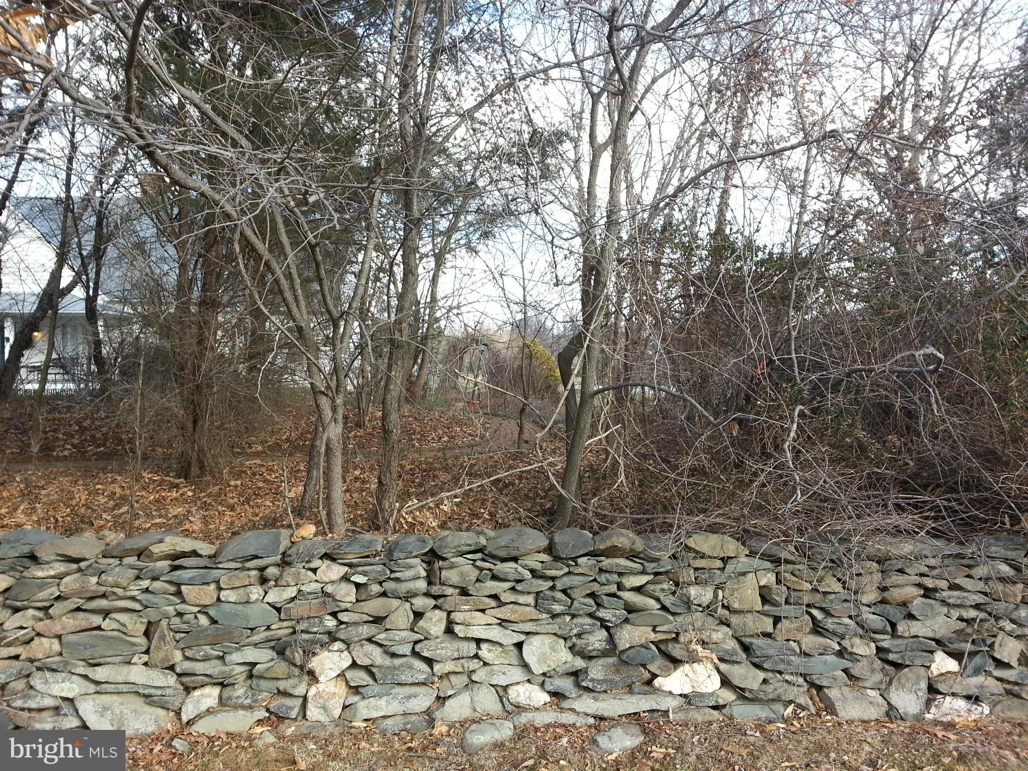 BIRCH HOLLOW HAMLET - Land