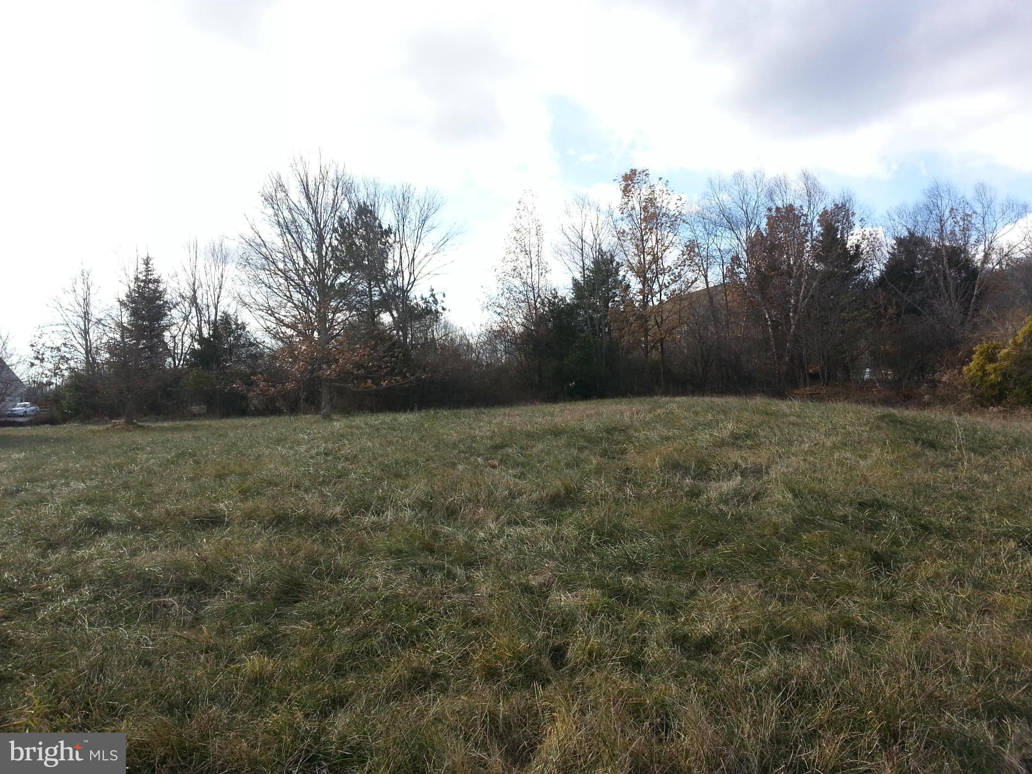 BIRCH HOLLOW HAMLET - Land