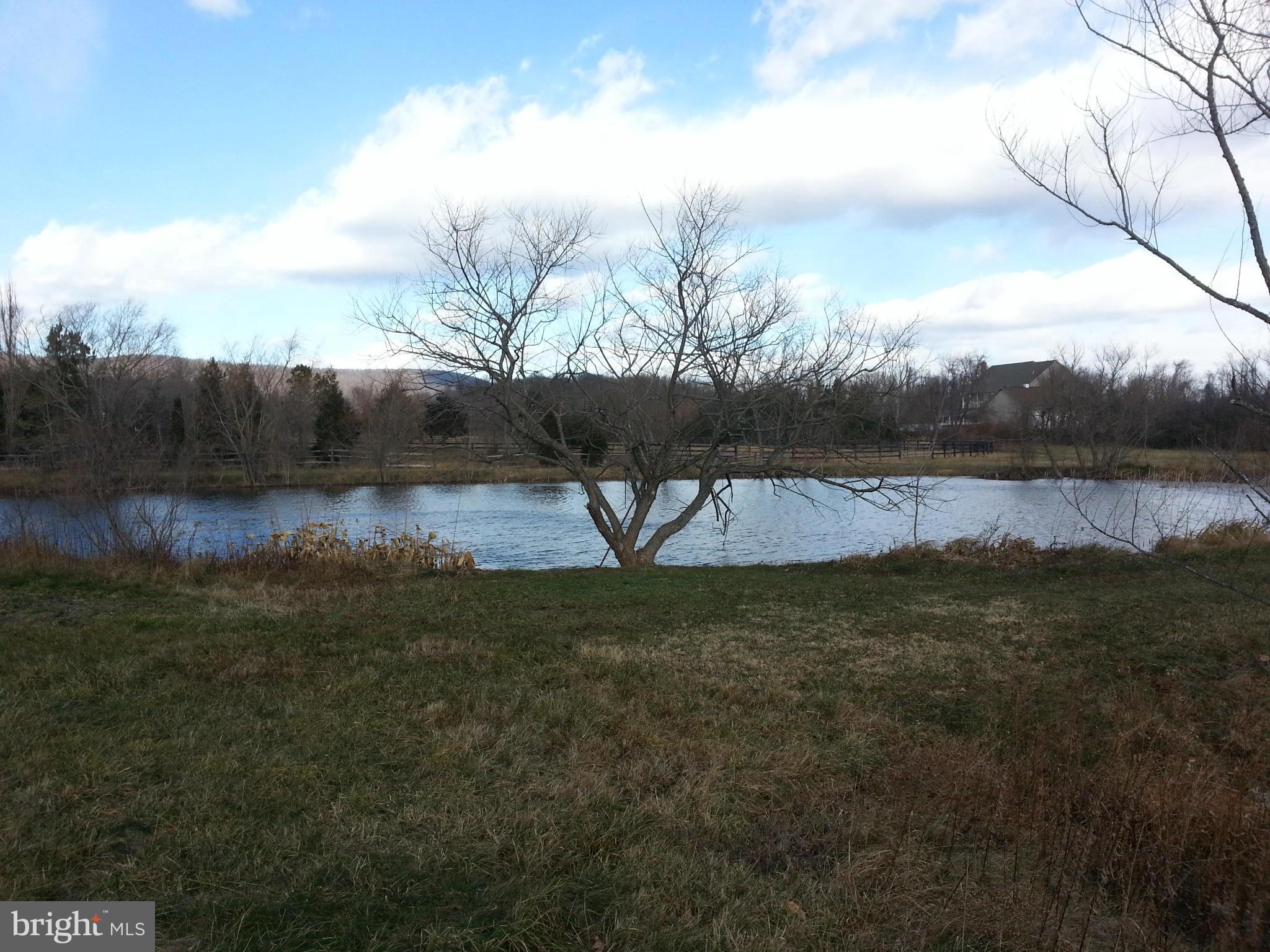 BIRCH HOLLOW HAMLET - Land