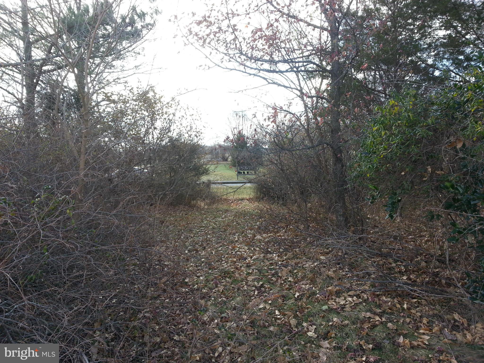 BIRCH HOLLOW HAMLET - Land