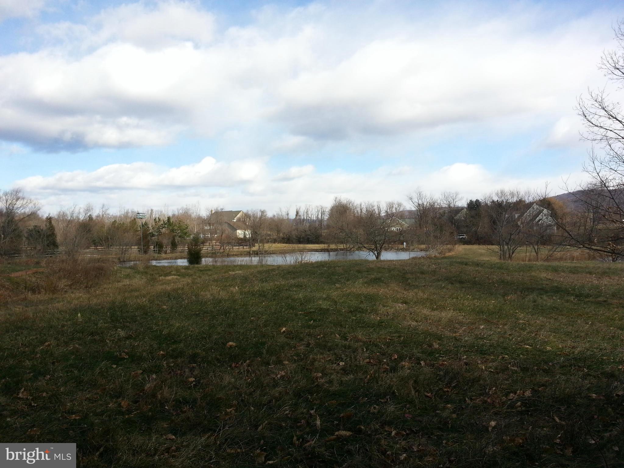 BIRCH HOLLOW HAMLET - Land