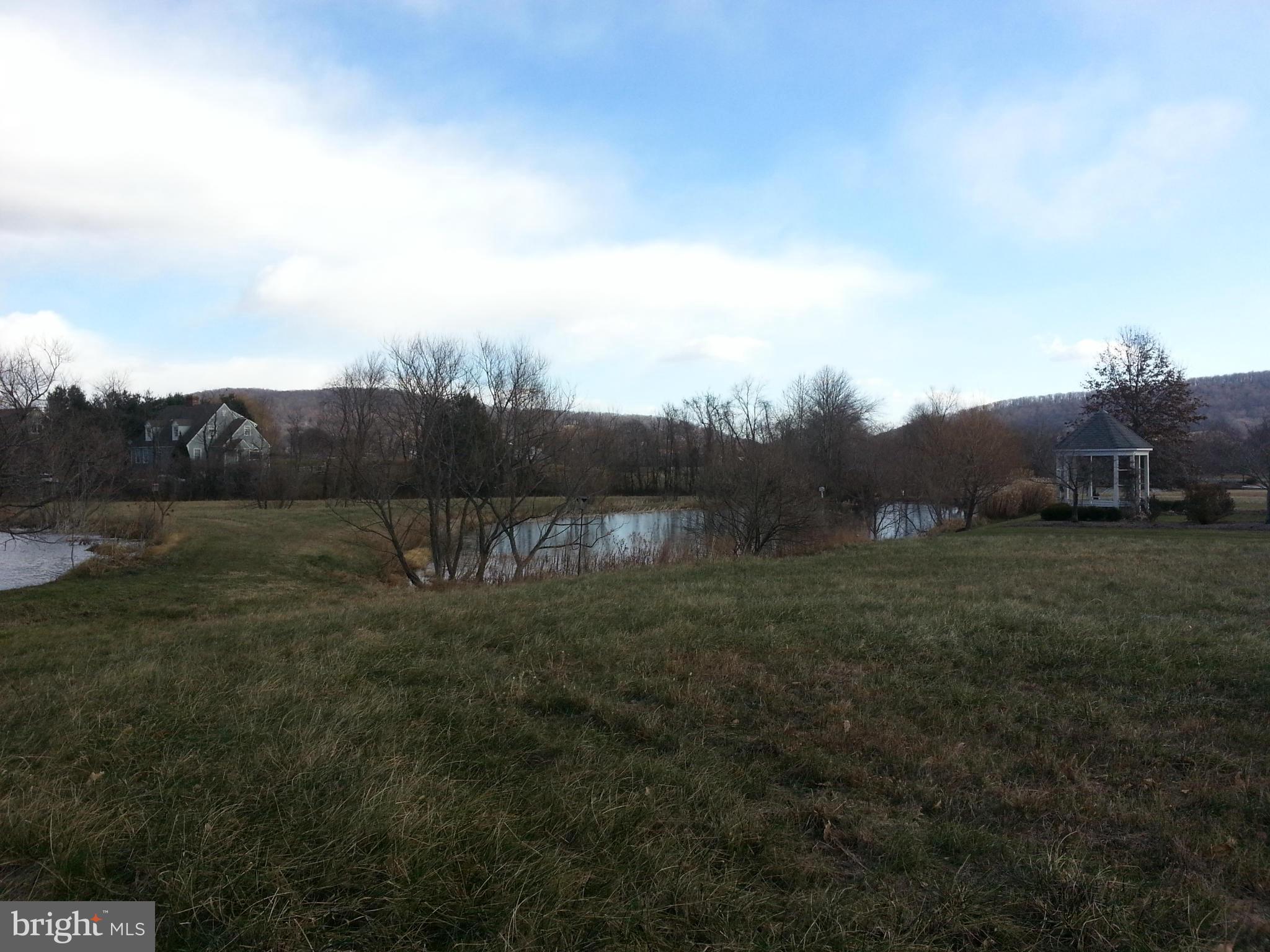 BIRCH HOLLOW HAMLET - Land