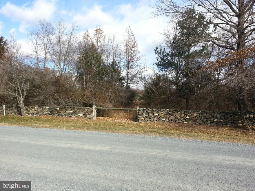 Nestled between the Short Hills and the Blue Ridge Mountains in western Loudoun County, Birch Hollow, one of Loudoun's first hamlets, offers the perfect location for your dream home.Lot has mountain and pond views, access to walking trails and beautiful stone wall. Well in place, septic approved for 3-5* bedrooms and other utilities available. Easy access to Rt.9, Hillsboro and many vineyards.