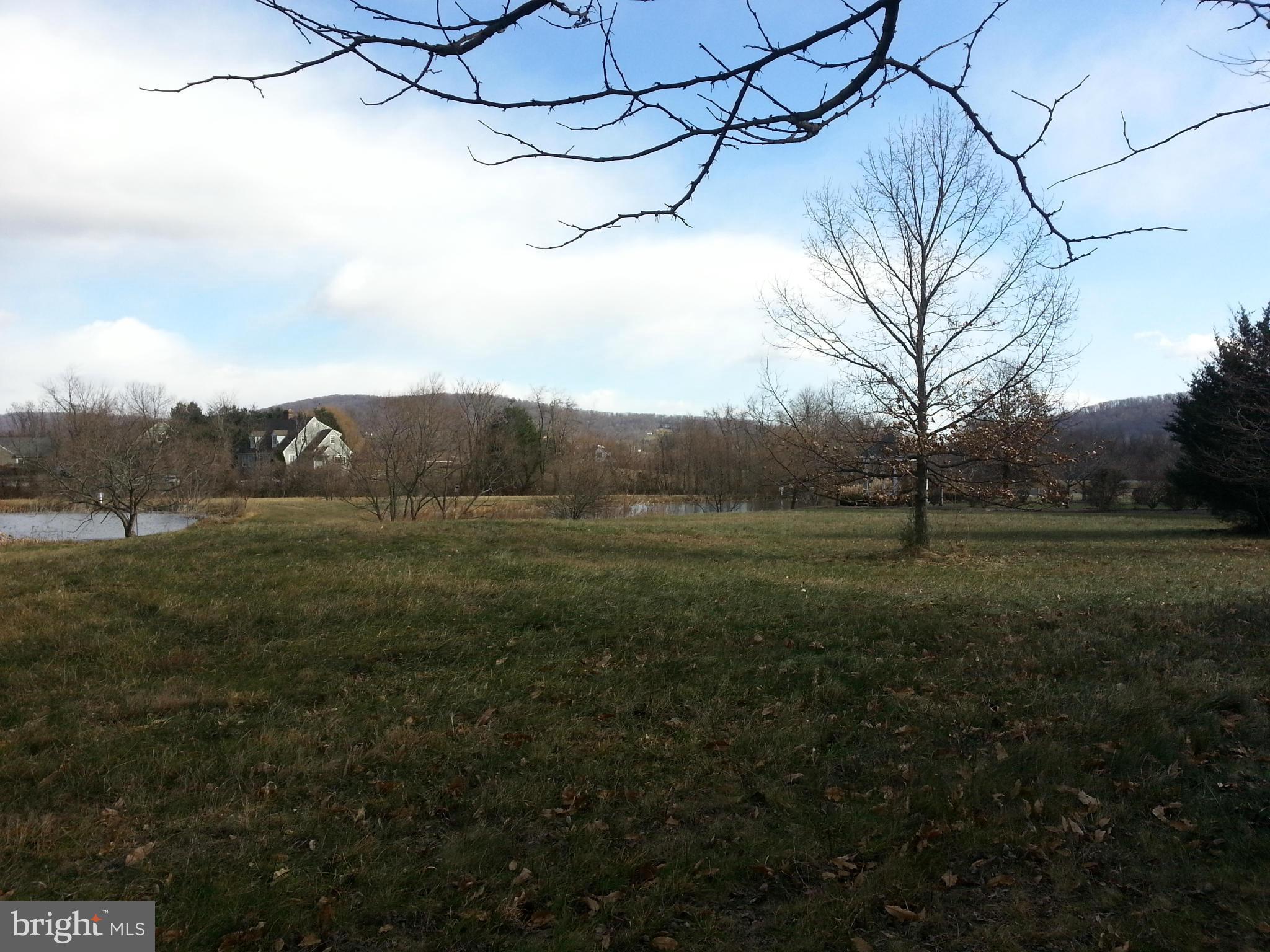 BIRCH HOLLOW HAMLET - Land