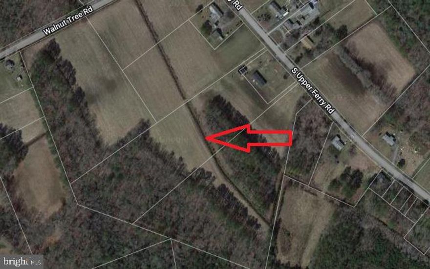 Bring your builder or bring your mobile home to this cleared lot in a quiet area of Wicomico county. With the Wicomico river not far away and wooded area adjoining the lot, this is a hunters or outdoor persons paradise.