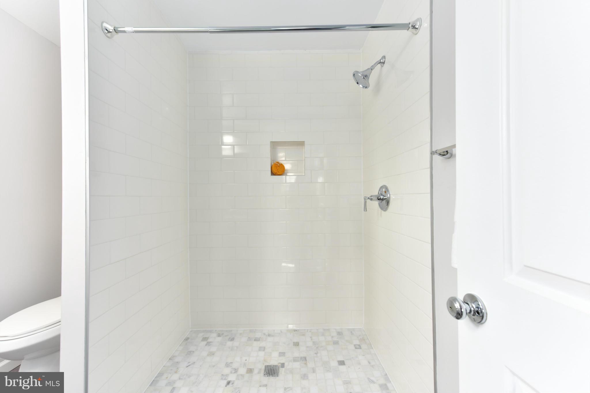 MT RAINIER - Residential