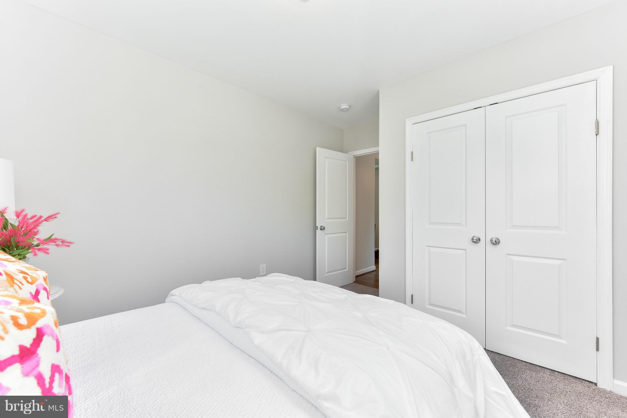 MT RAINIER - Residential