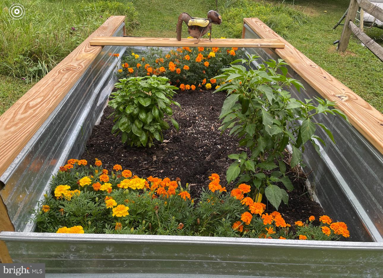 ROLLING KNOLLS - Residential