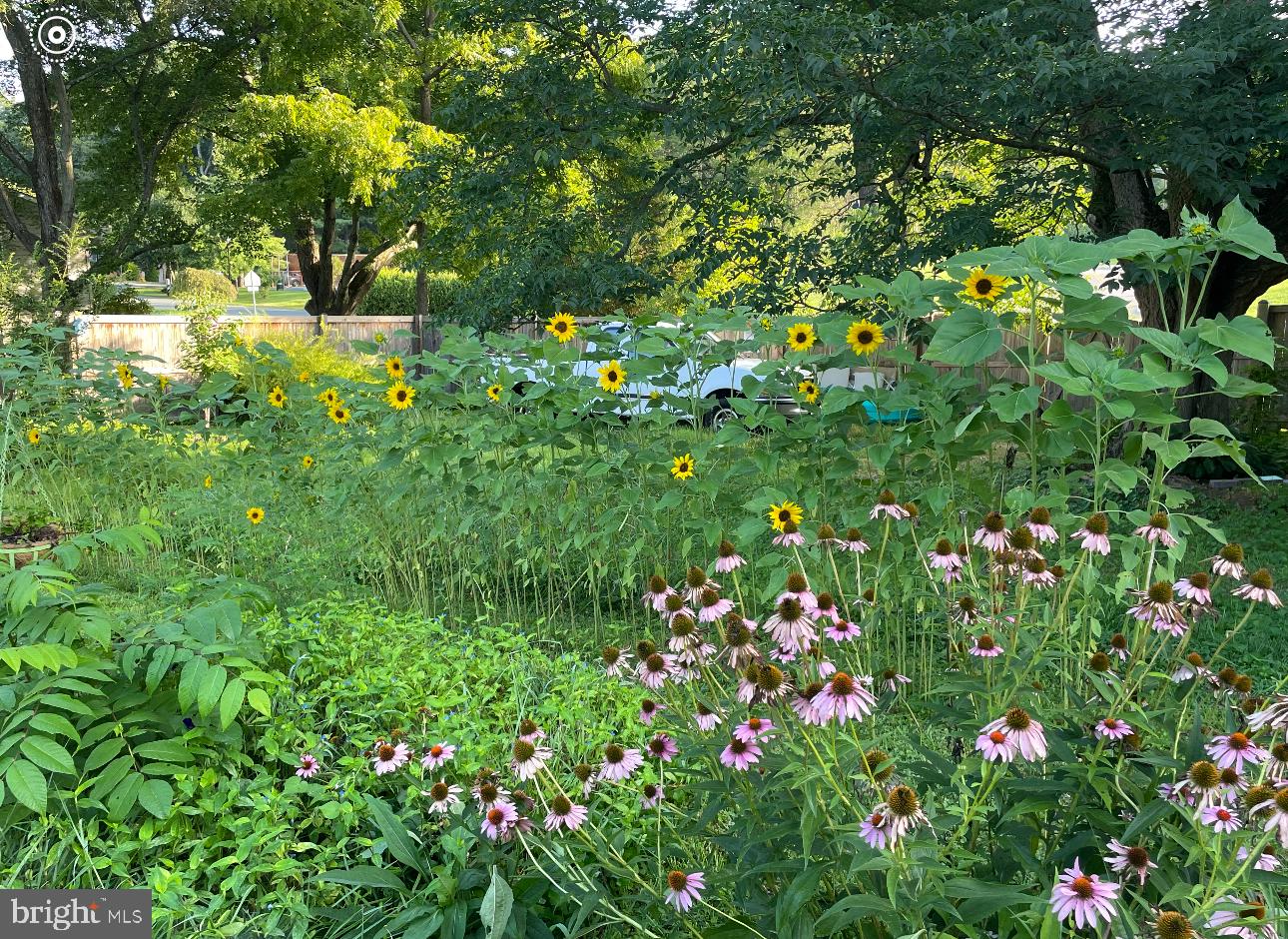 ROLLING KNOLLS - Residential