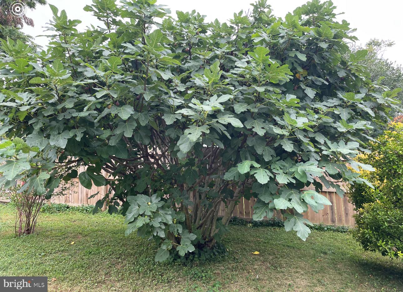 ROLLING KNOLLS - Residential