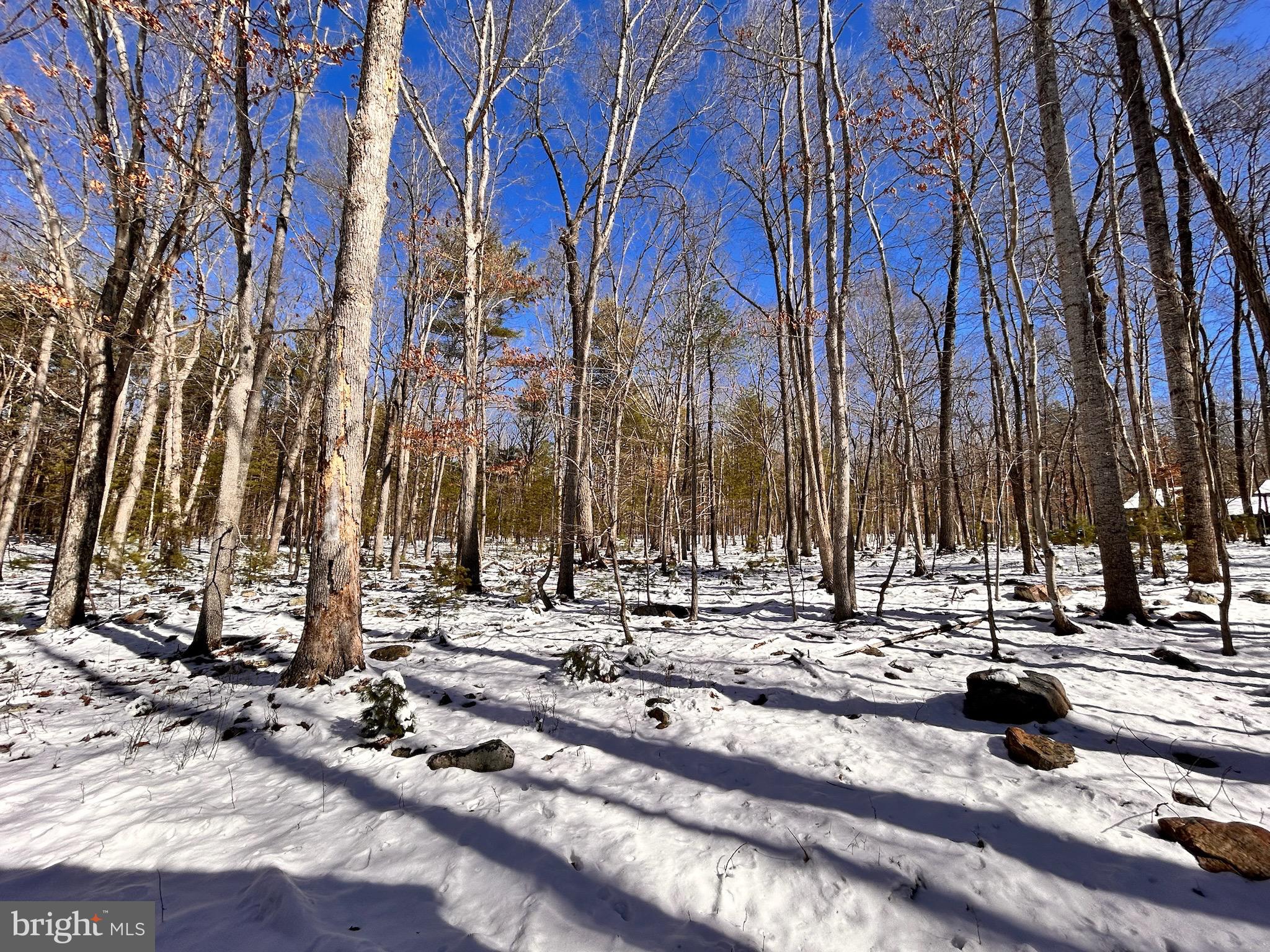 EVERGREEN FARMS SUBDIVISION - Land