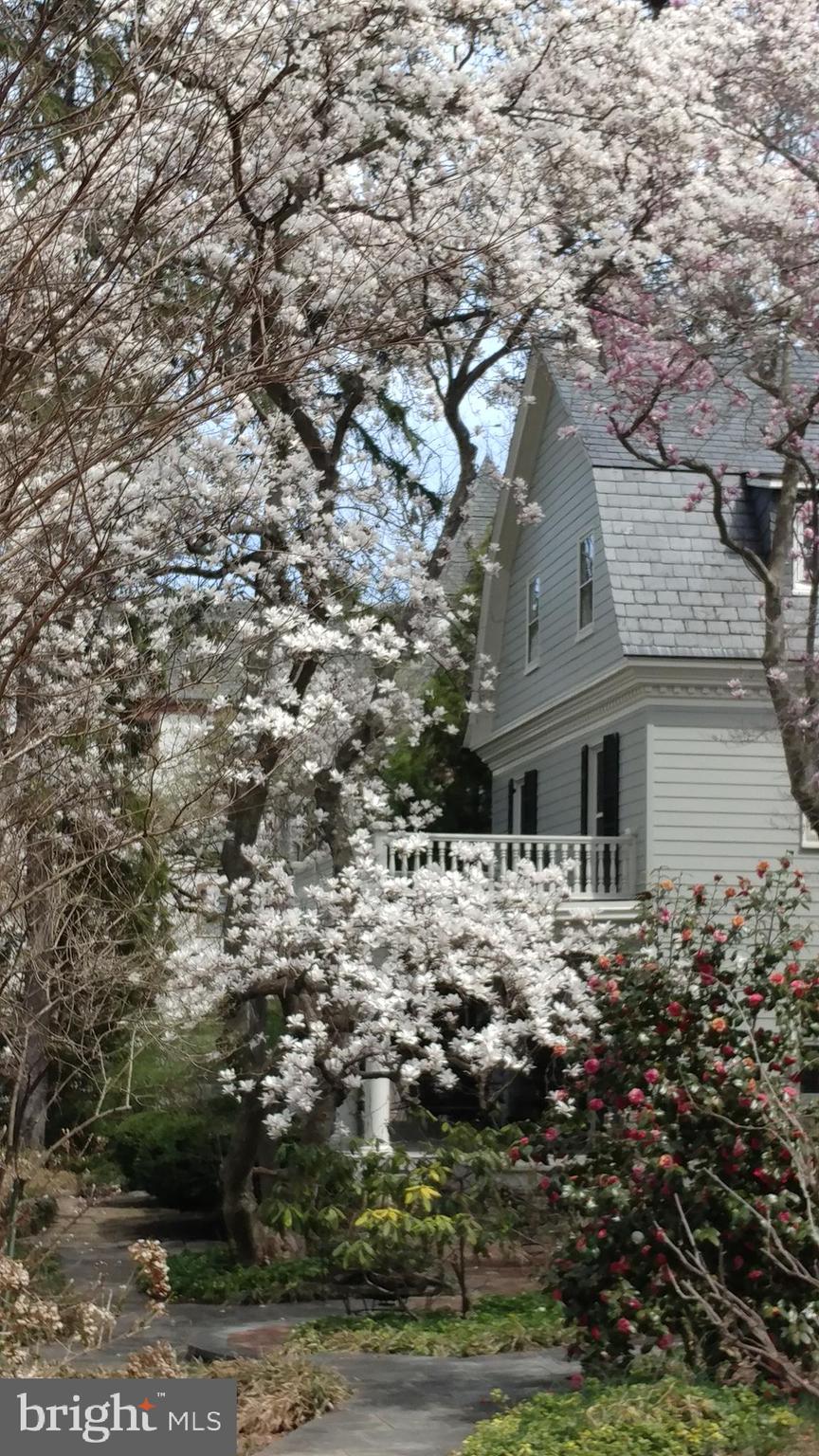 ROLAND PARK - Residential