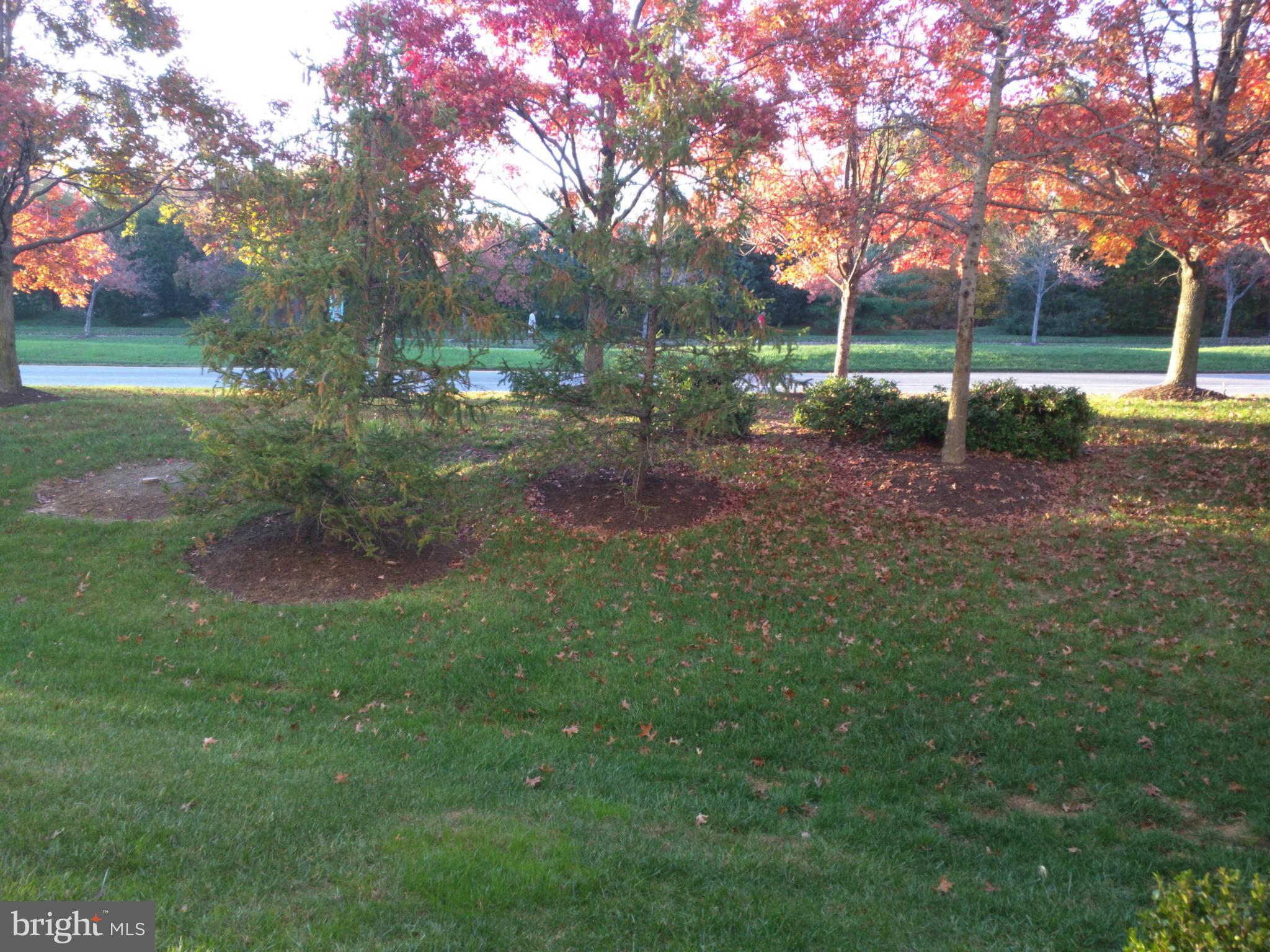 PINEY ORCHARD - Residential