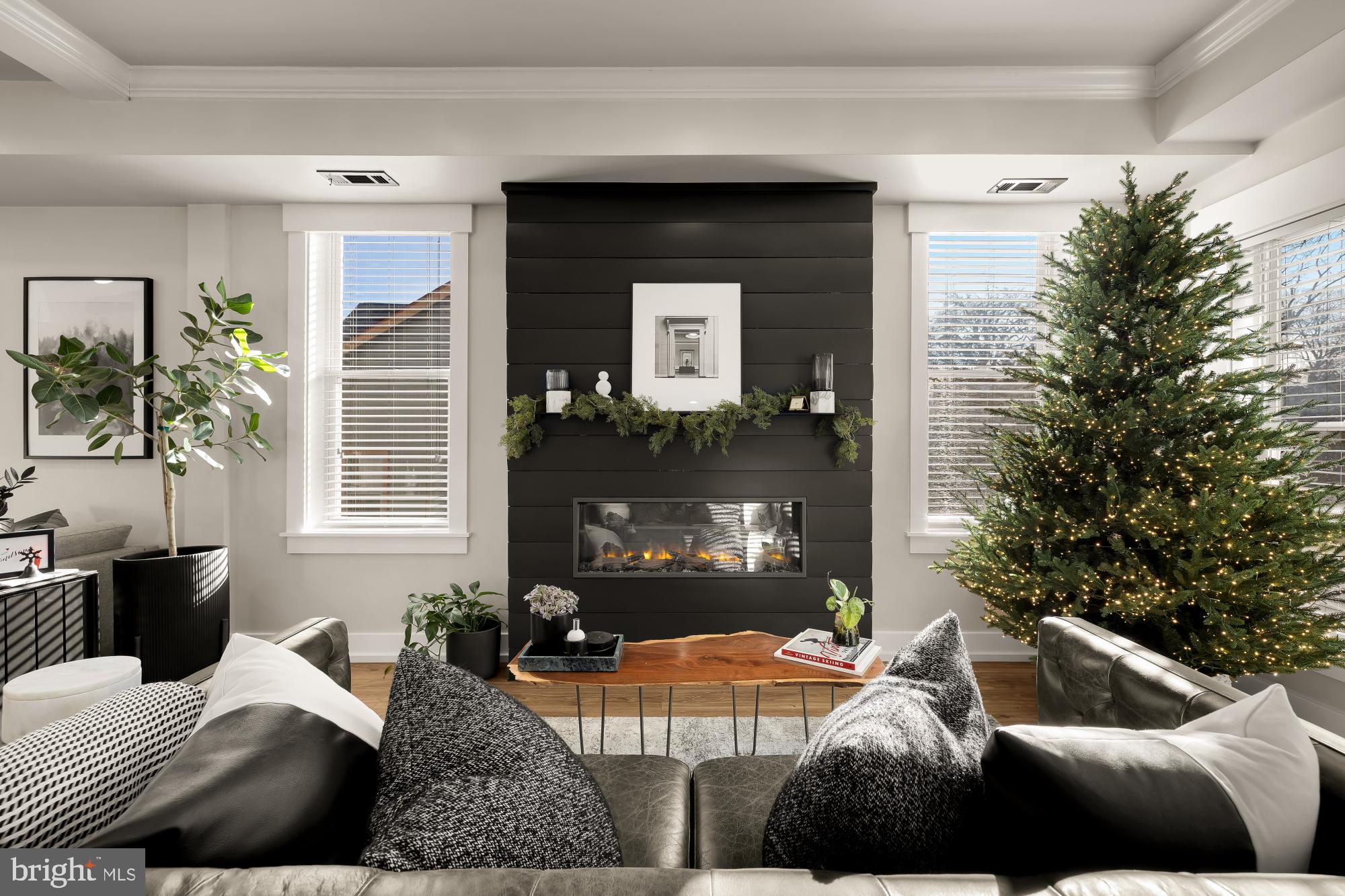 MOUNT RAINIER - Residential