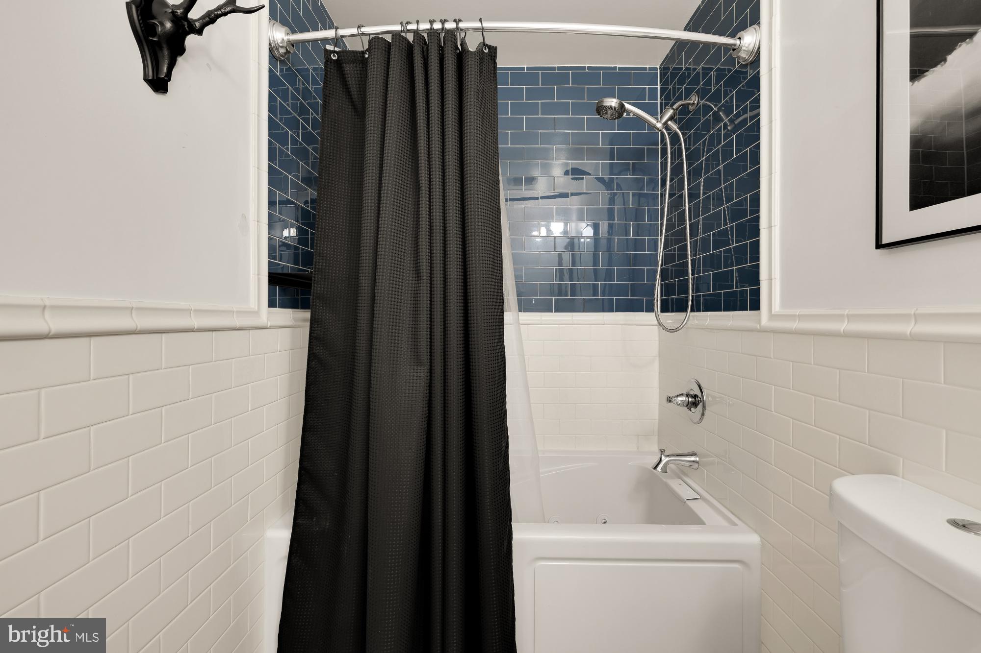 MOUNT RAINIER - Residential